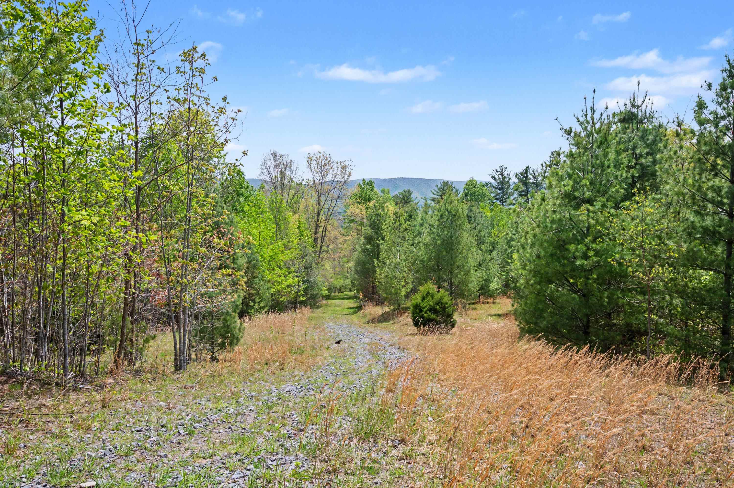 Tbd High Chaparral Lane Bland VA 24315