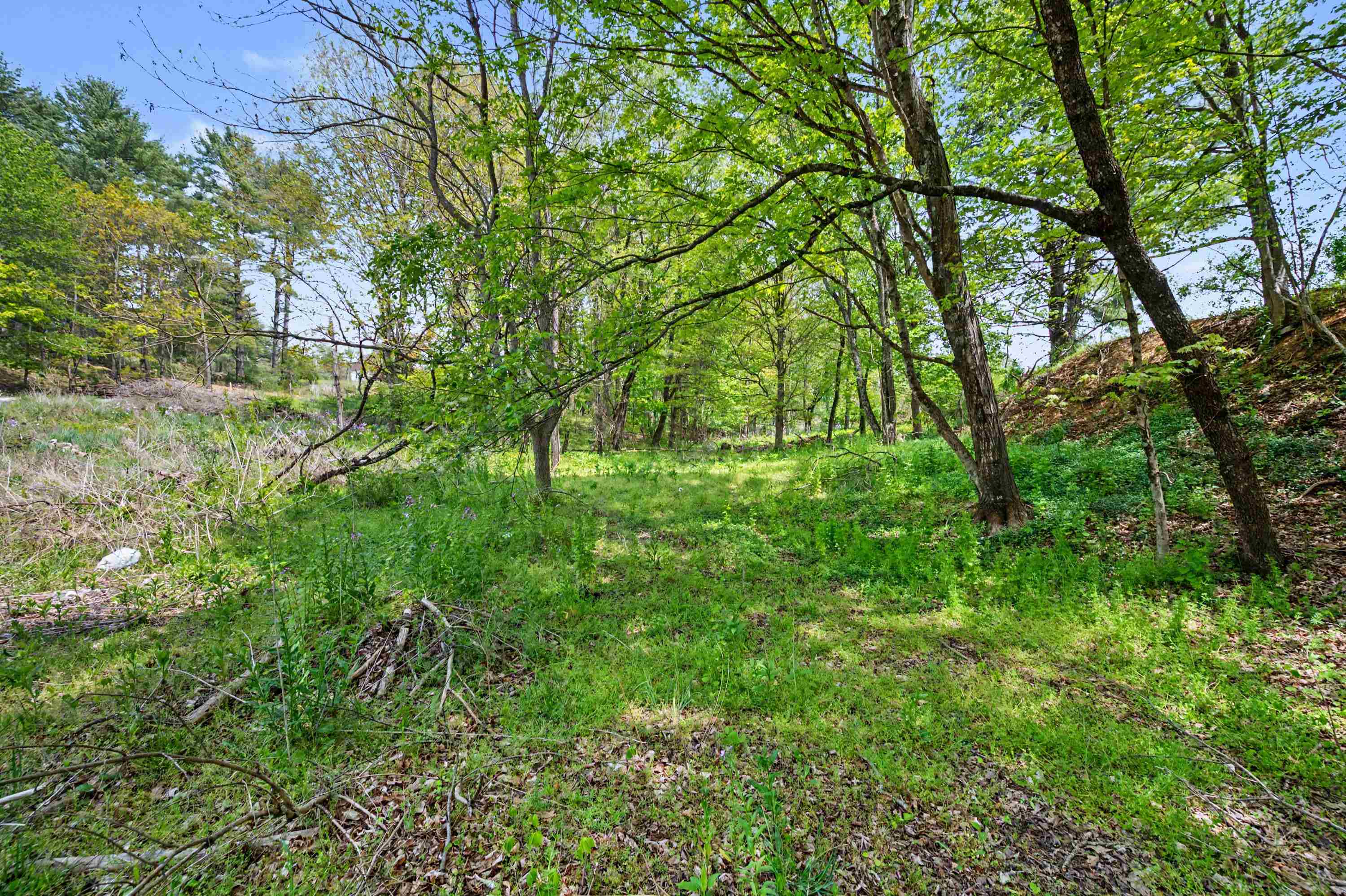 Tbd High Chaparral Lane Bland VA 24315