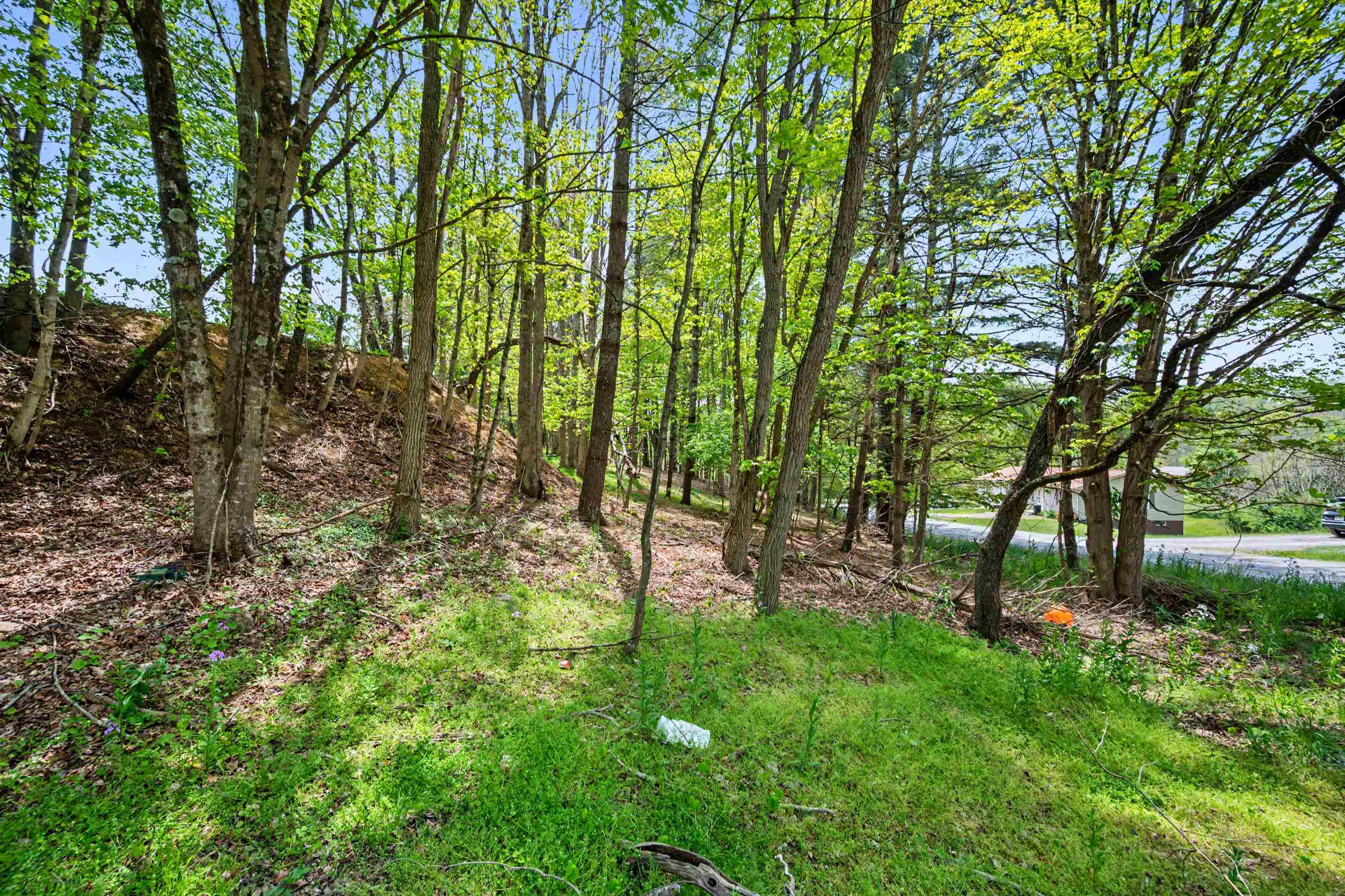 Tbd High Chaparral Lane Bland VA 24315