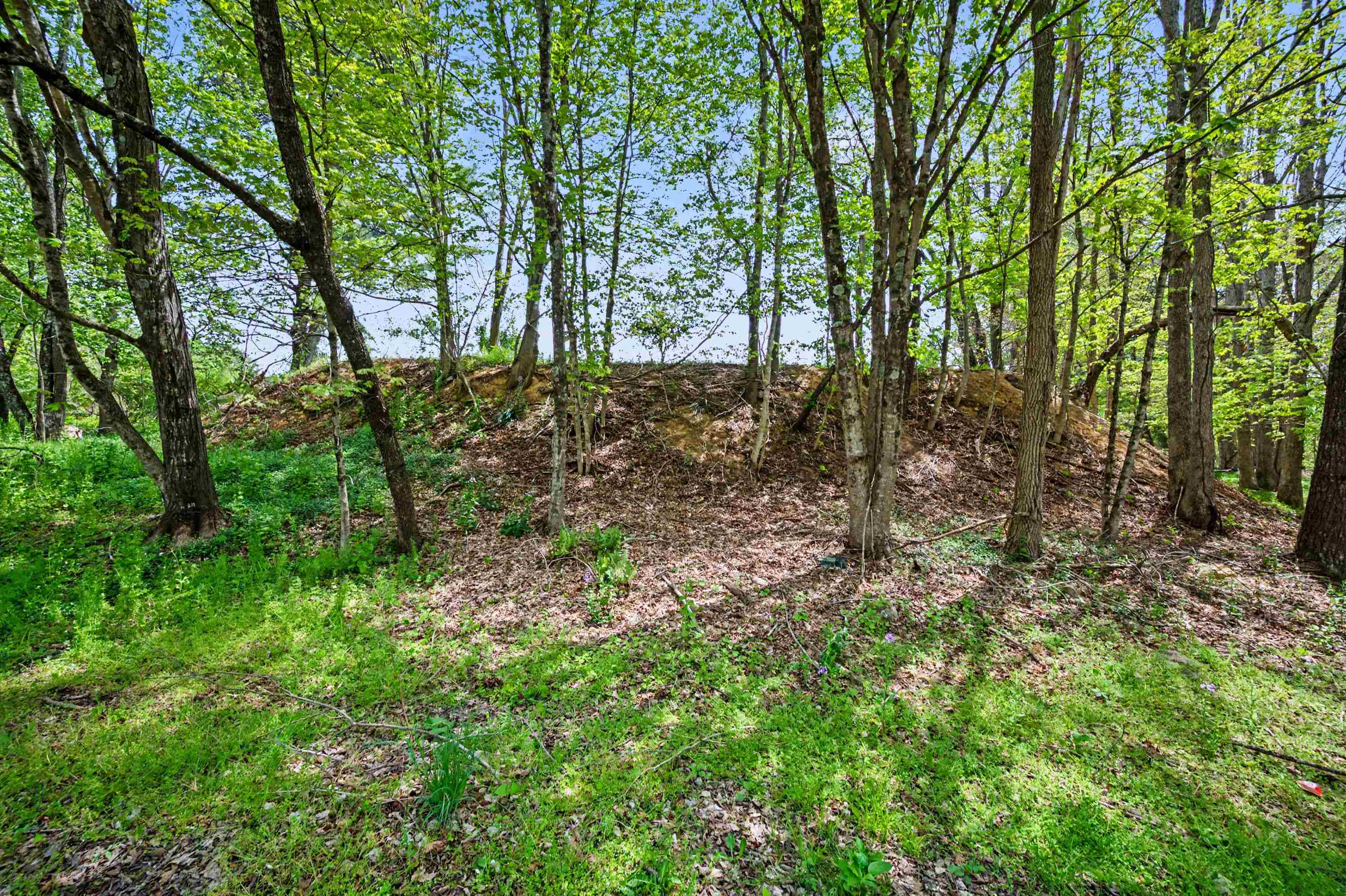 Tbd High Chaparral Lane Bland VA 24315