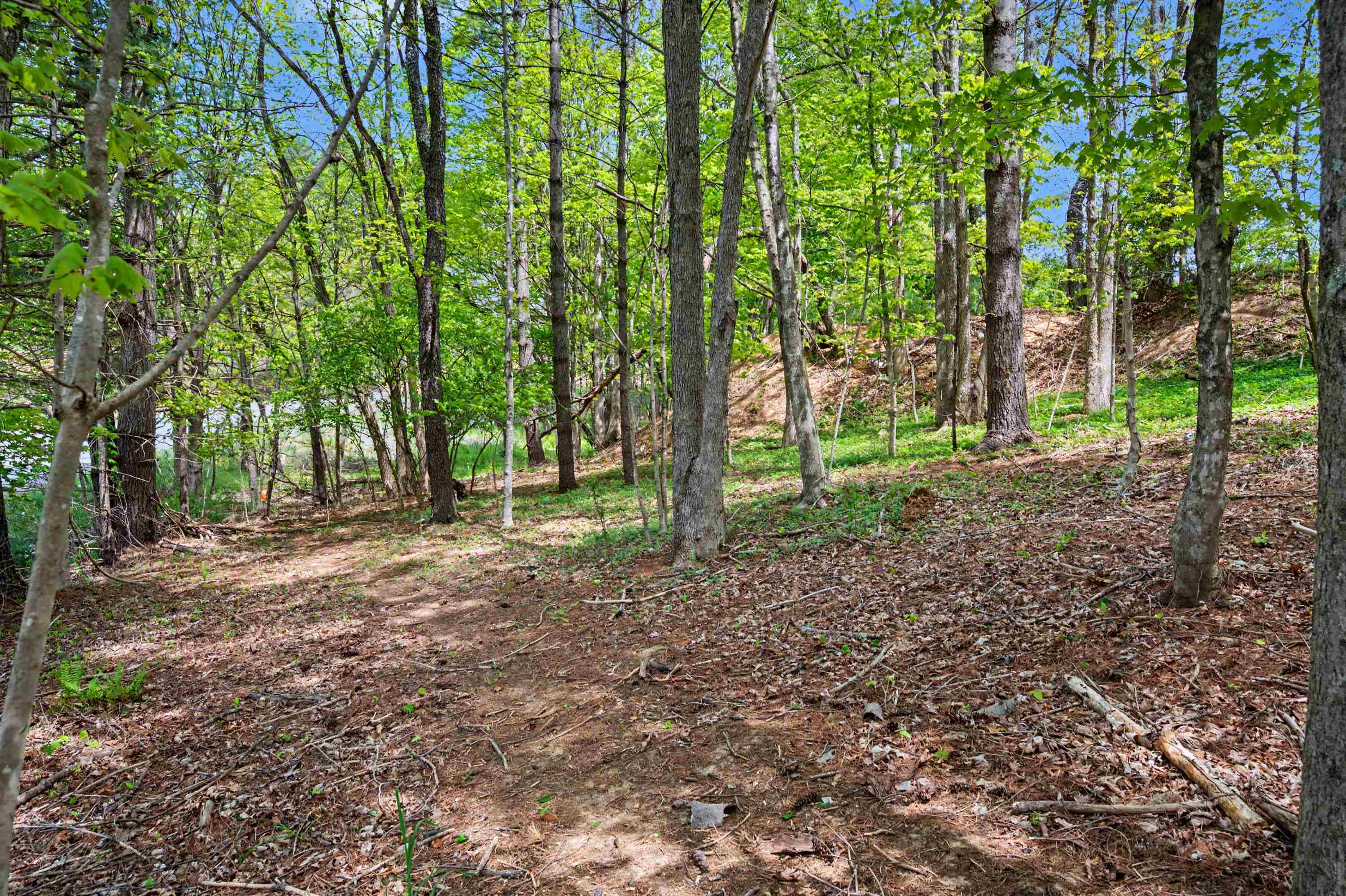 Tbd High Chaparral Lane Bland VA 24315