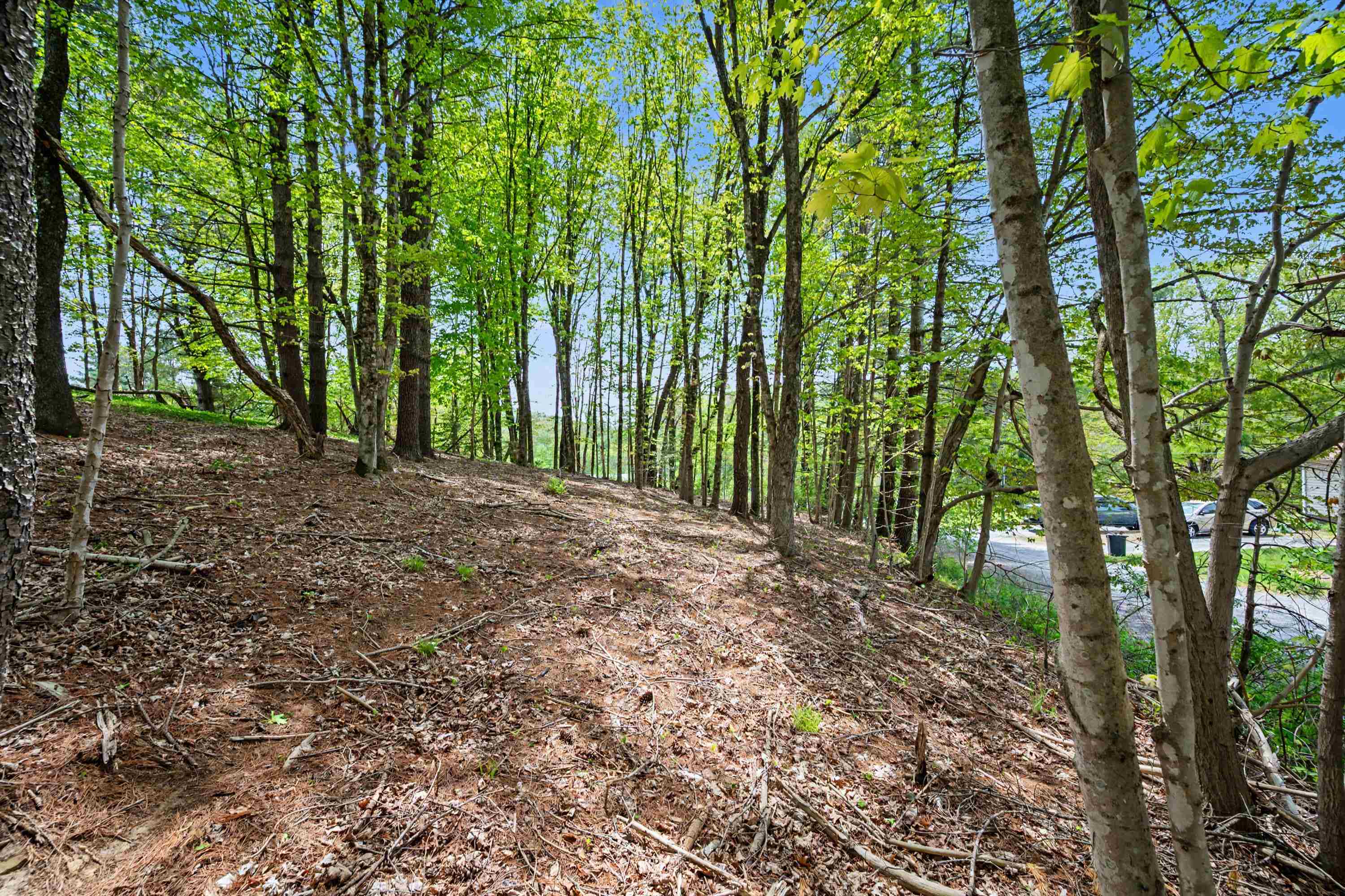 Tbd High Chaparral Lane Bland VA 24315
