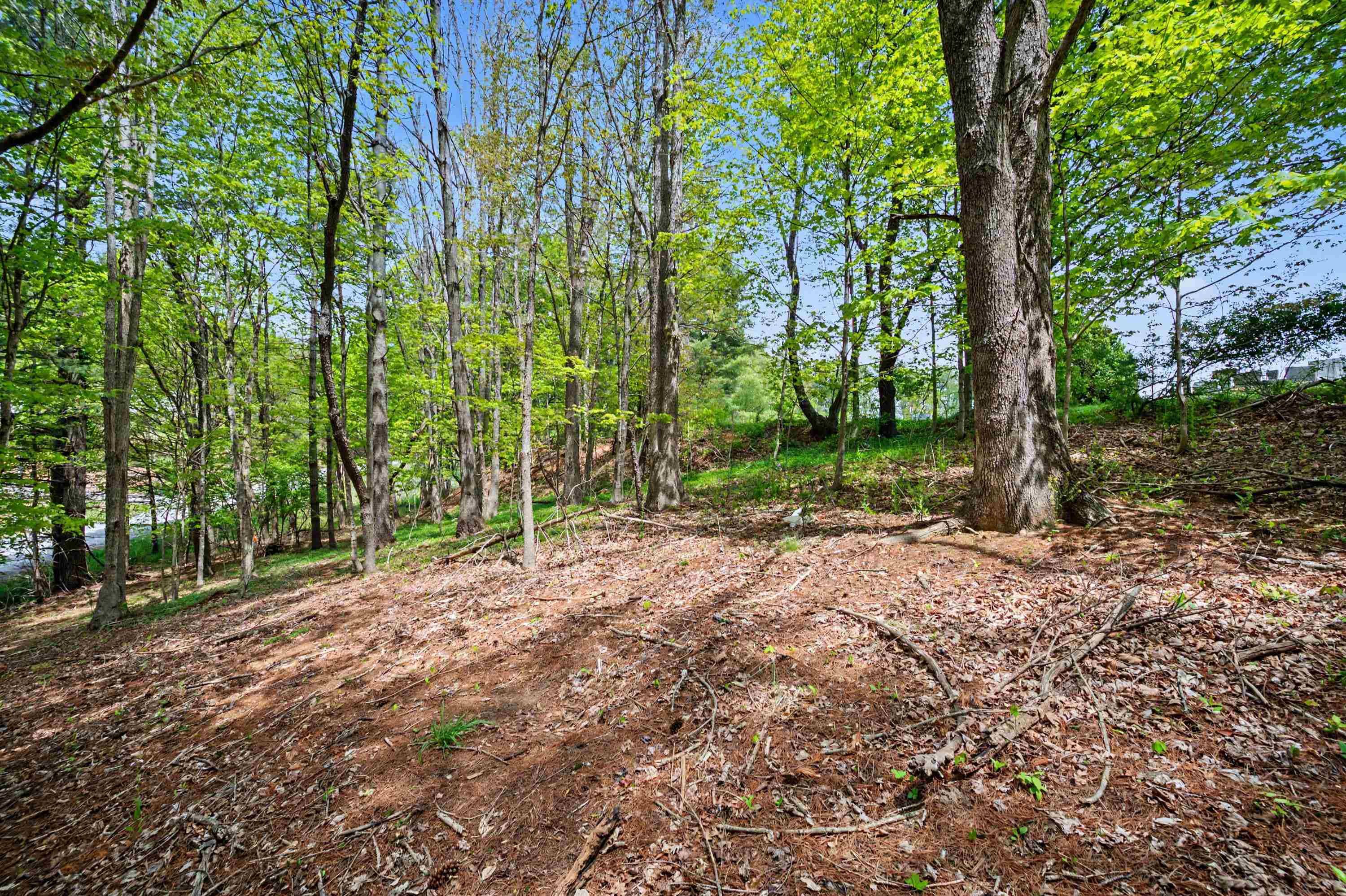 Tbd High Chaparral Lane Bland VA 24315