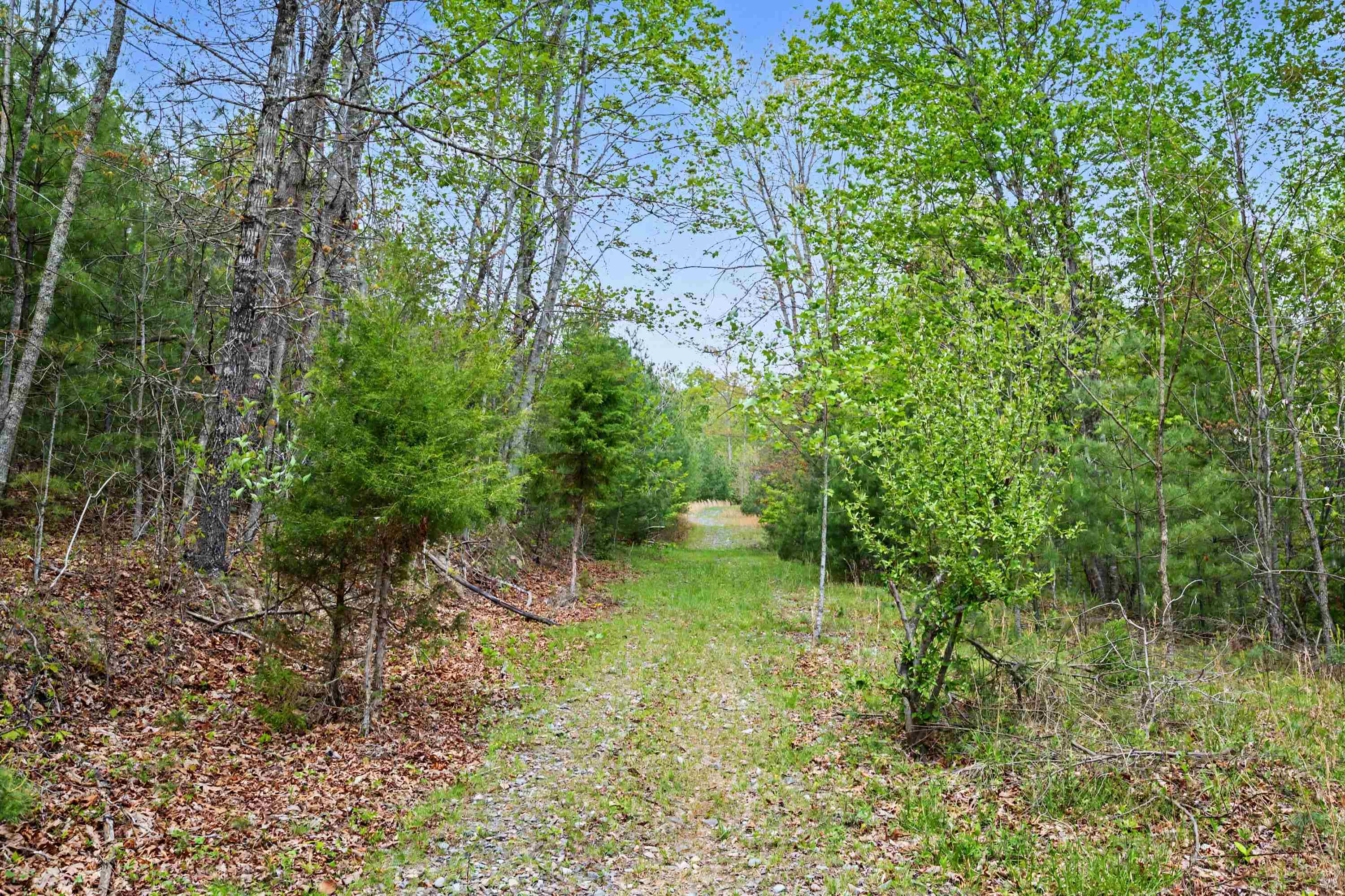 Tbd High Chaparral Lane Bland VA 24315