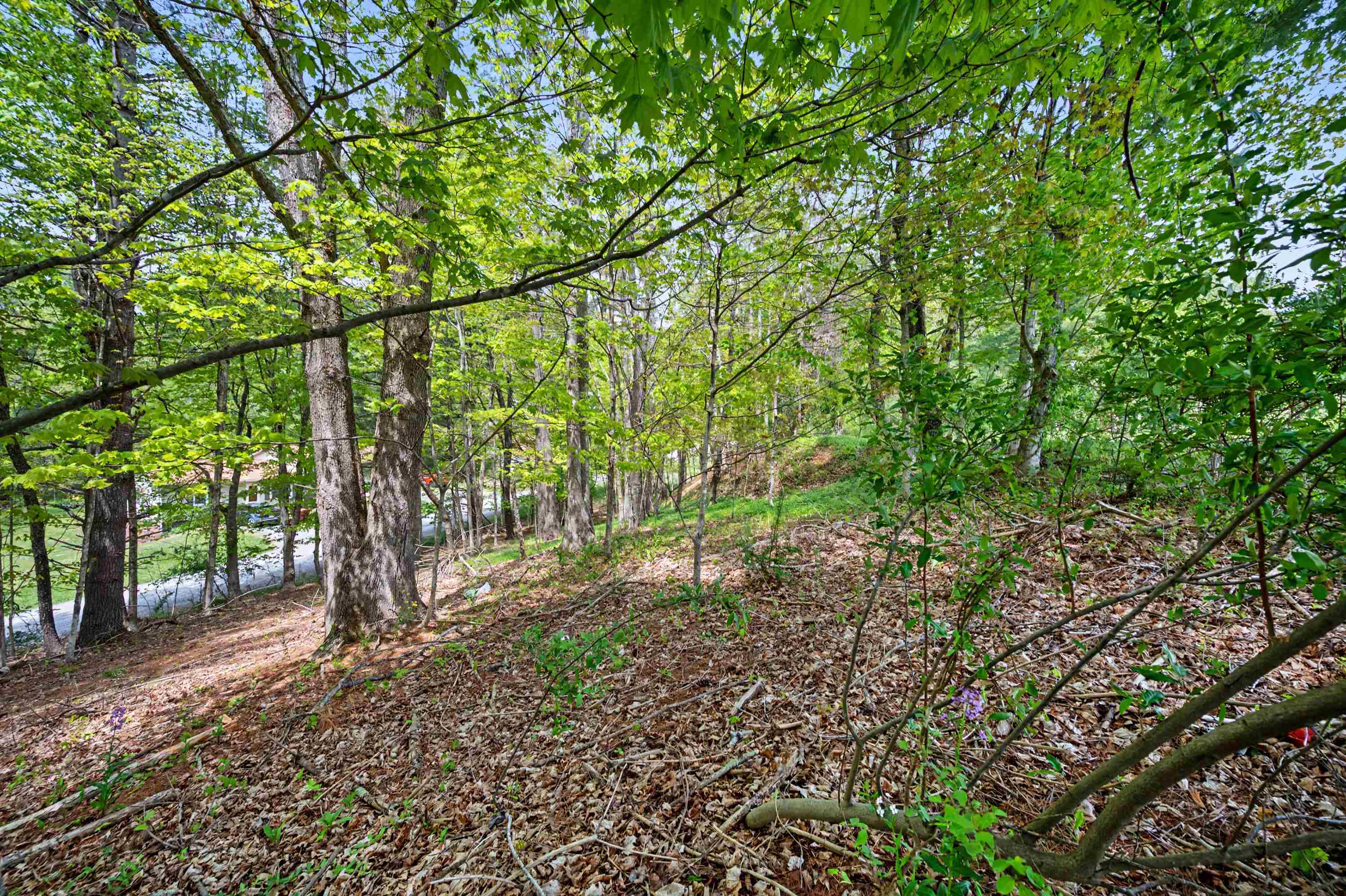 Tbd High Chaparral Lane Bland VA 24315