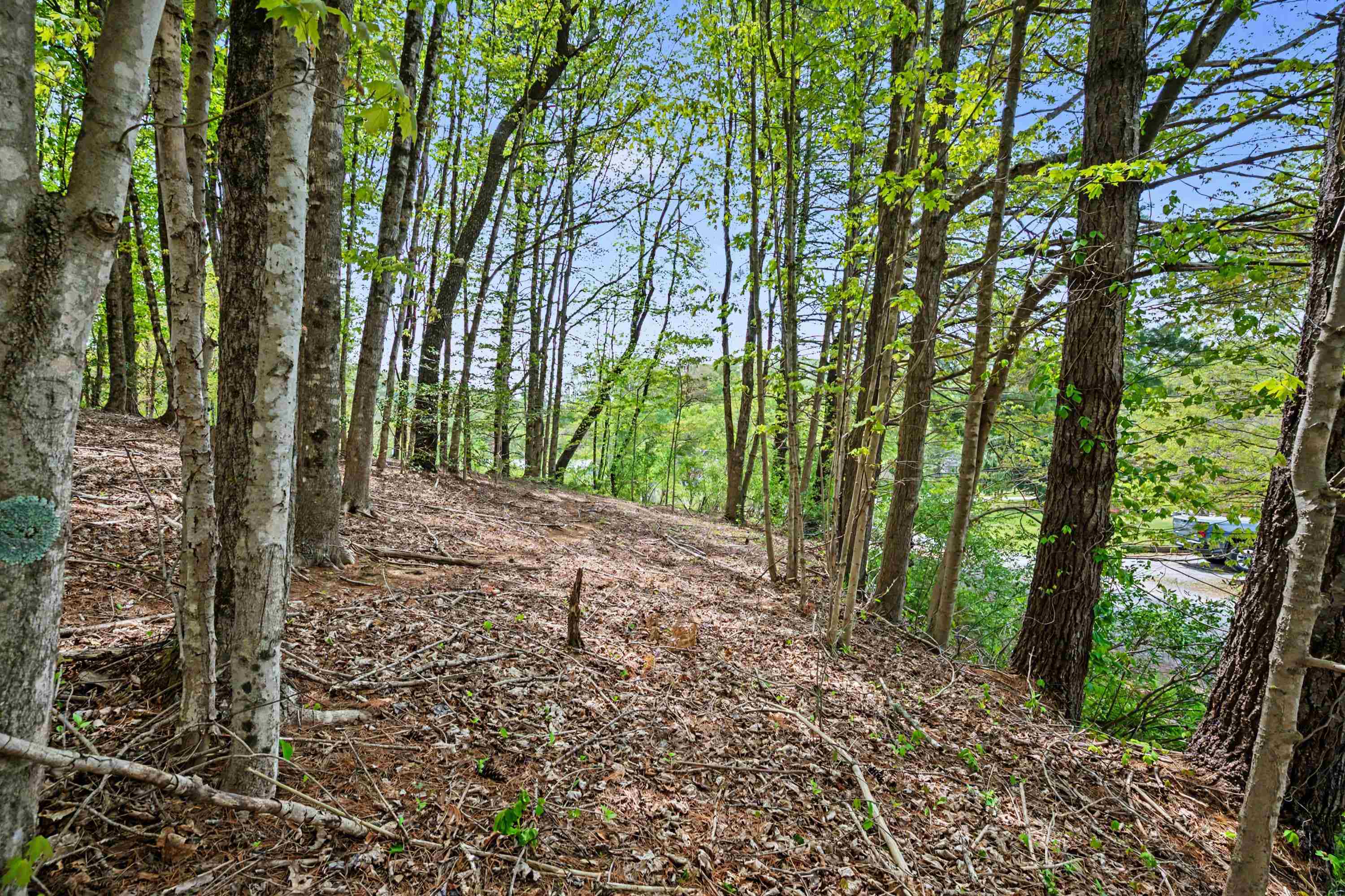 Tbd High Chaparral Lane Bland VA 24315