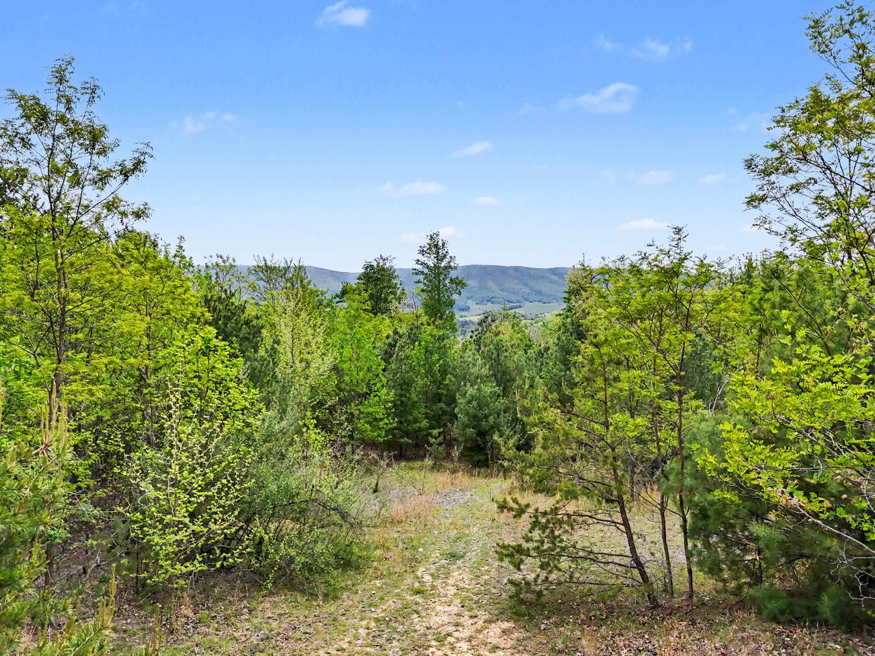 Tbd High Chaparral Lane Bland VA 24315