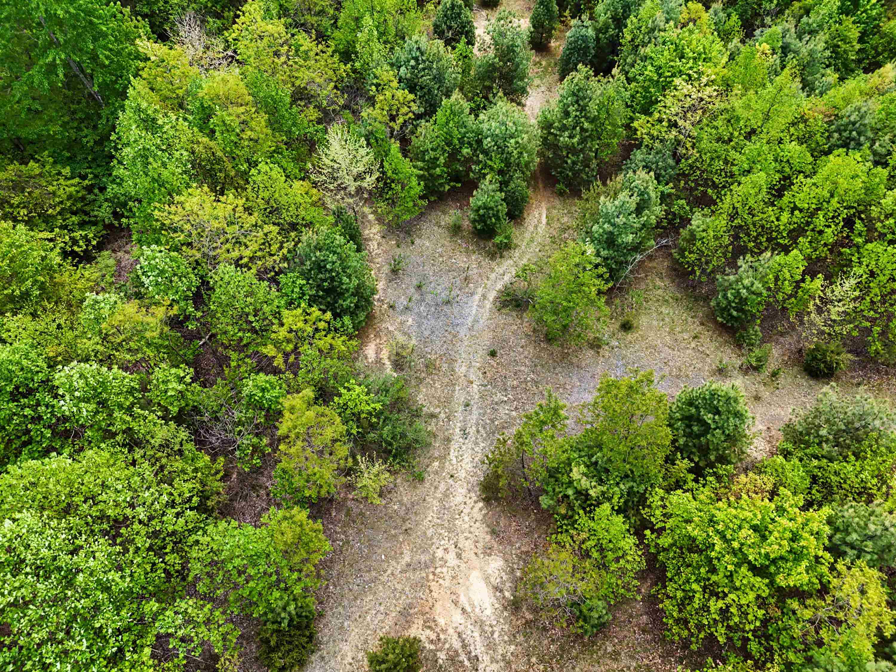 Tbd High Chaparral Lane Bland VA 24315