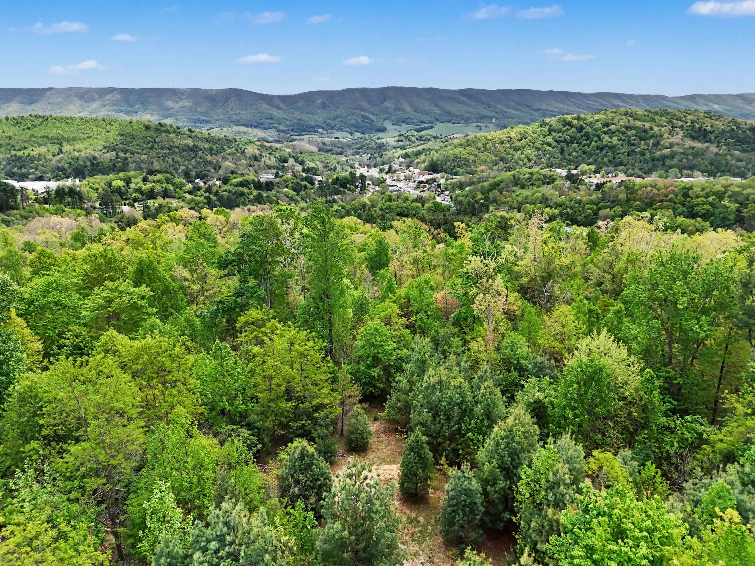 Tbd High Chaparral Lane Bland VA 24315