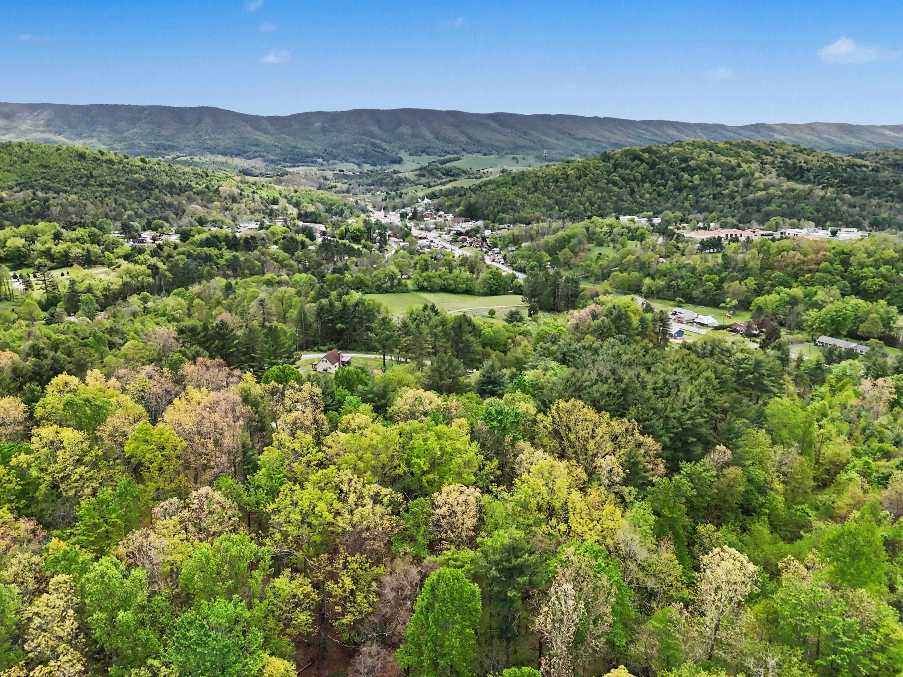 Tbd High Chaparral Lane Bland VA 24315