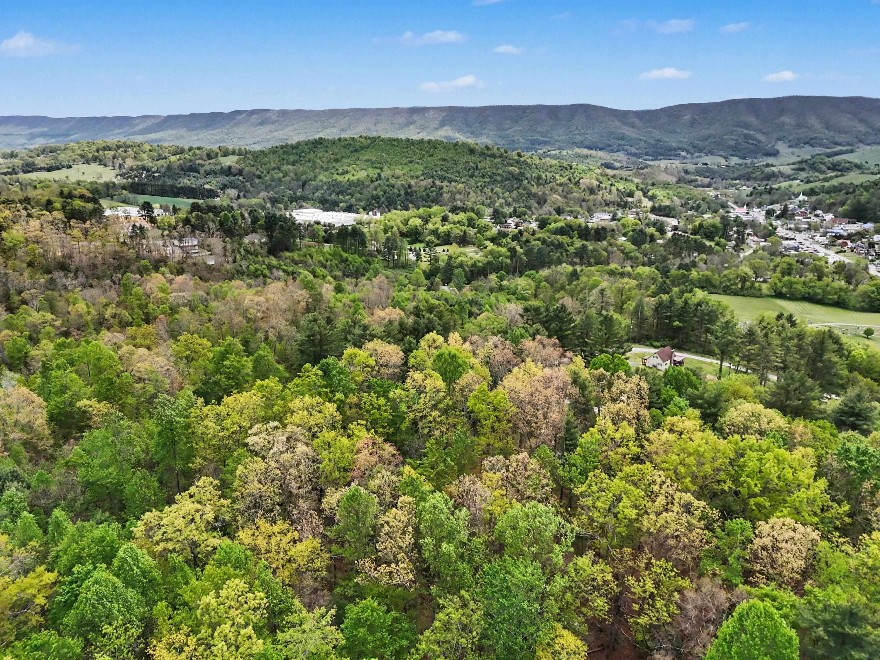 Tbd High Chaparral Lane Bland VA 24315