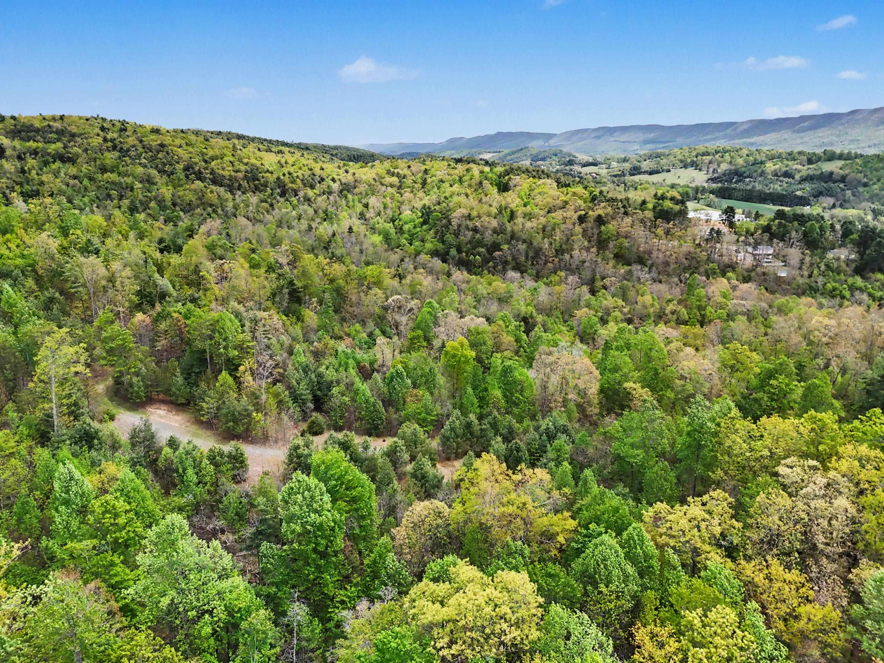 Tbd High Chaparral Lane Bland VA 24315