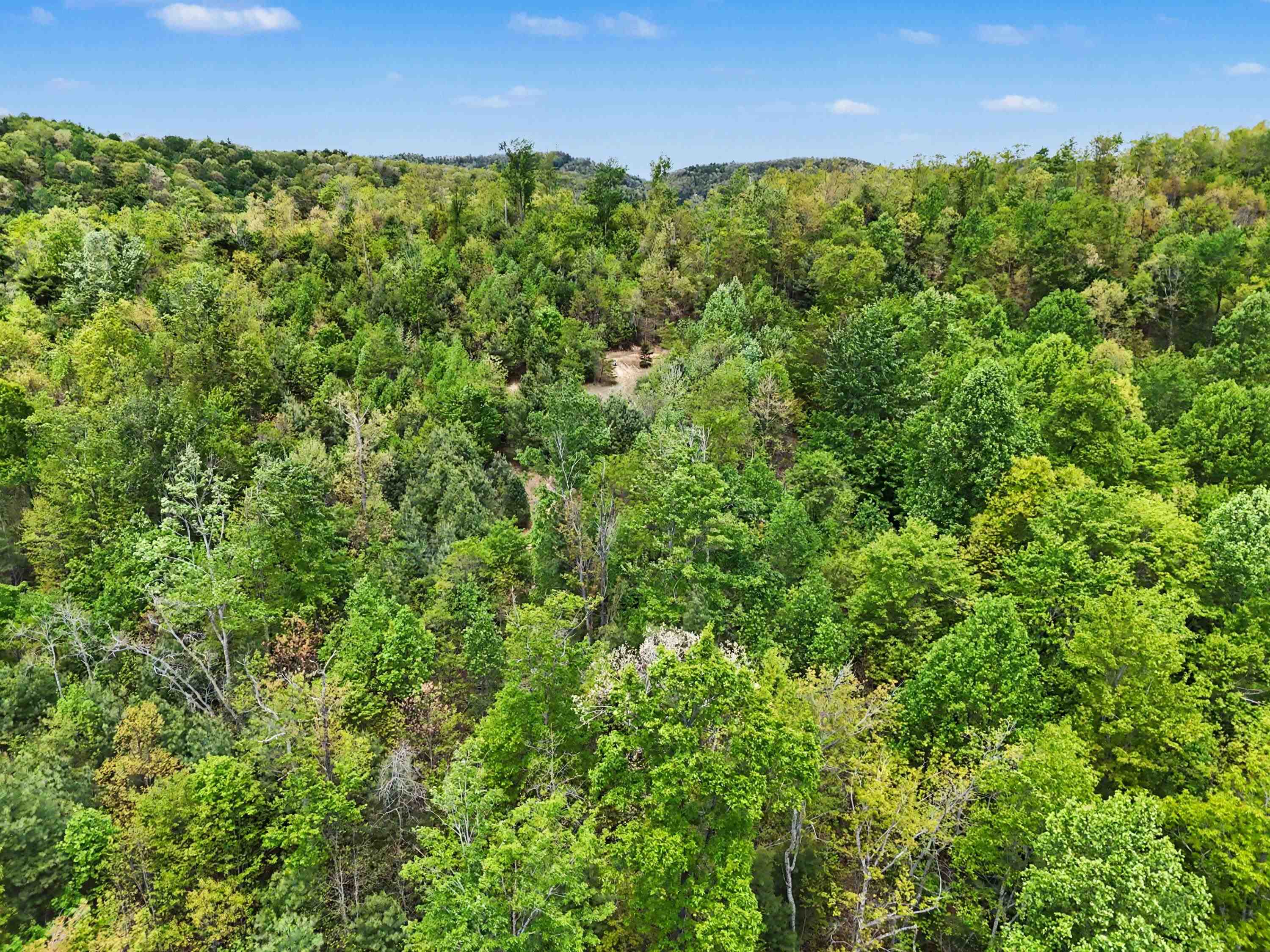 Tbd High Chaparral Lane Bland VA 24315