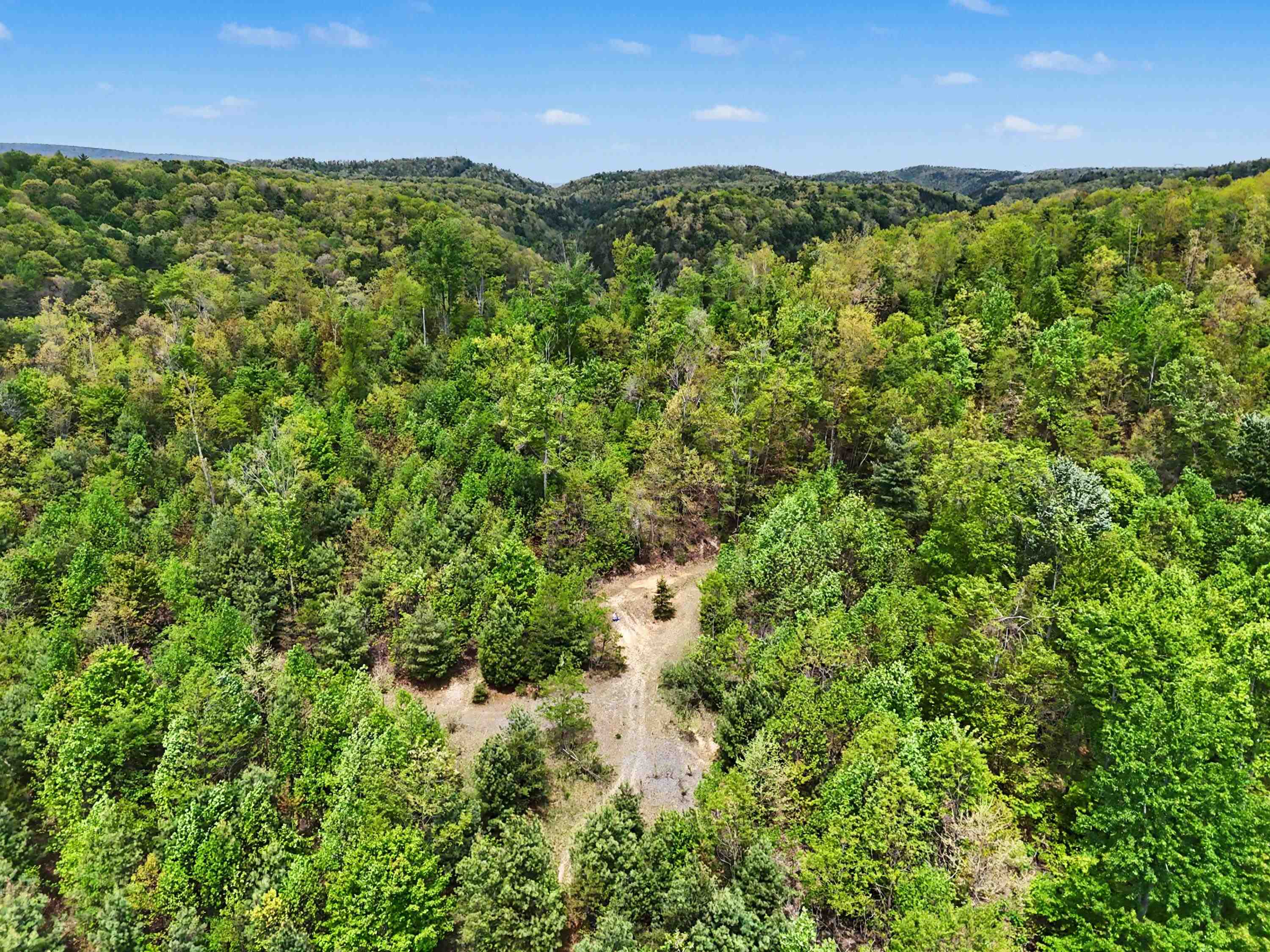 Tbd High Chaparral Lane Bland VA 24315