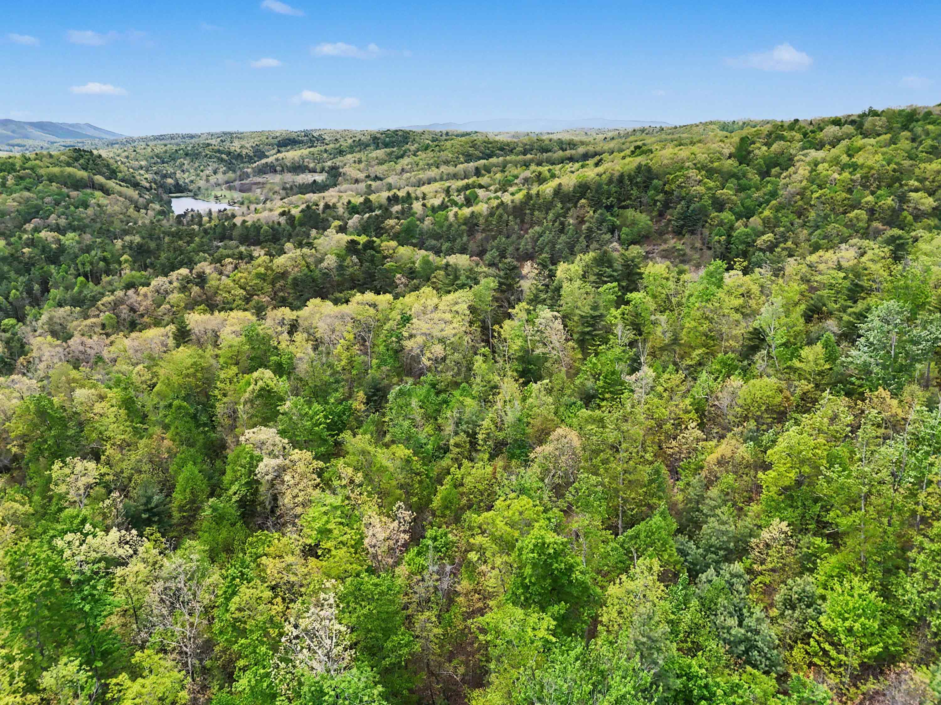 Tbd High Chaparral Lane Bland VA 24315