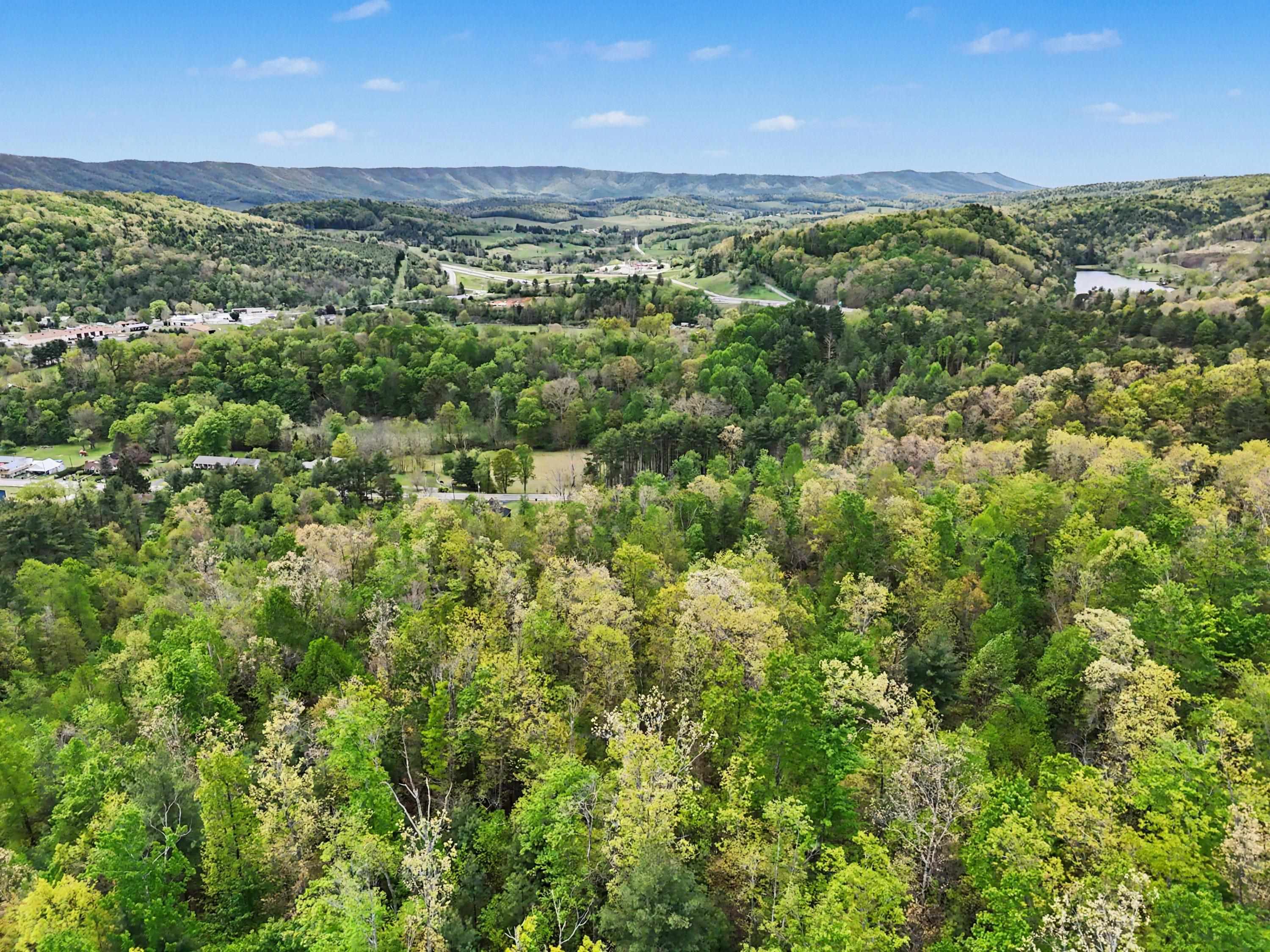 Tbd High Chaparral Lane Bland VA 24315