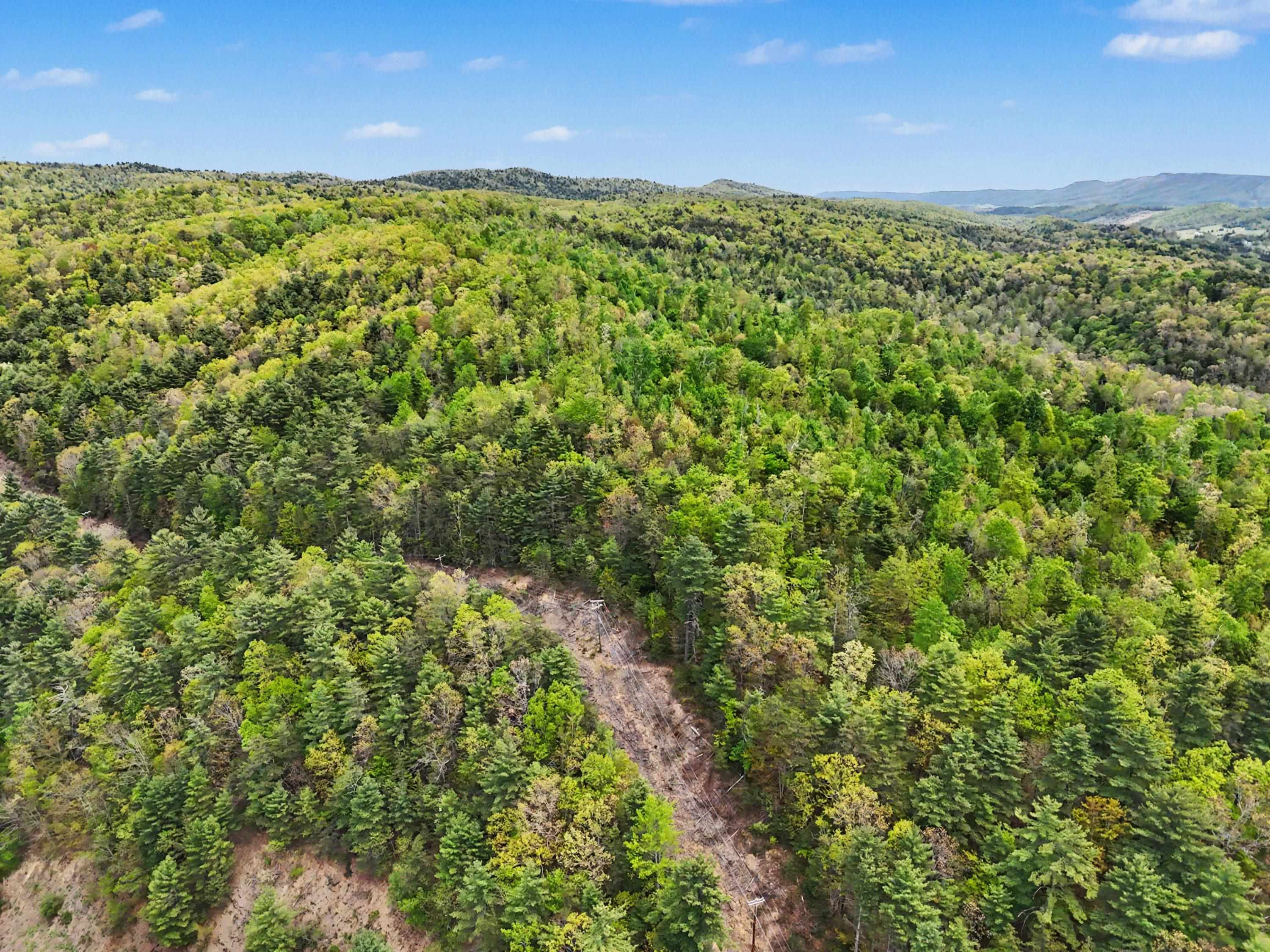 Tbd High Chaparral Lane Bland VA 24315