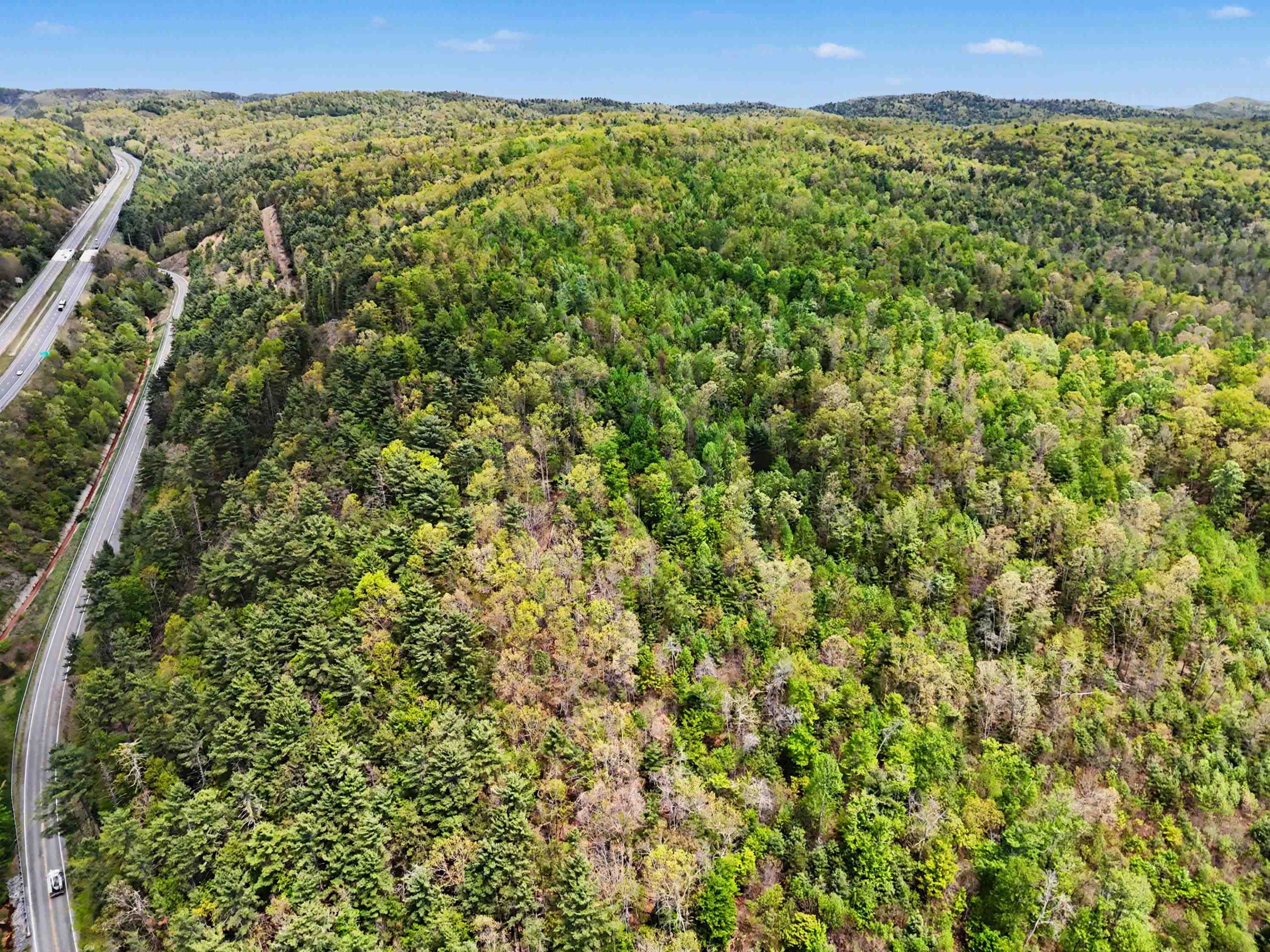 Tbd High Chaparral Lane Bland VA 24315
