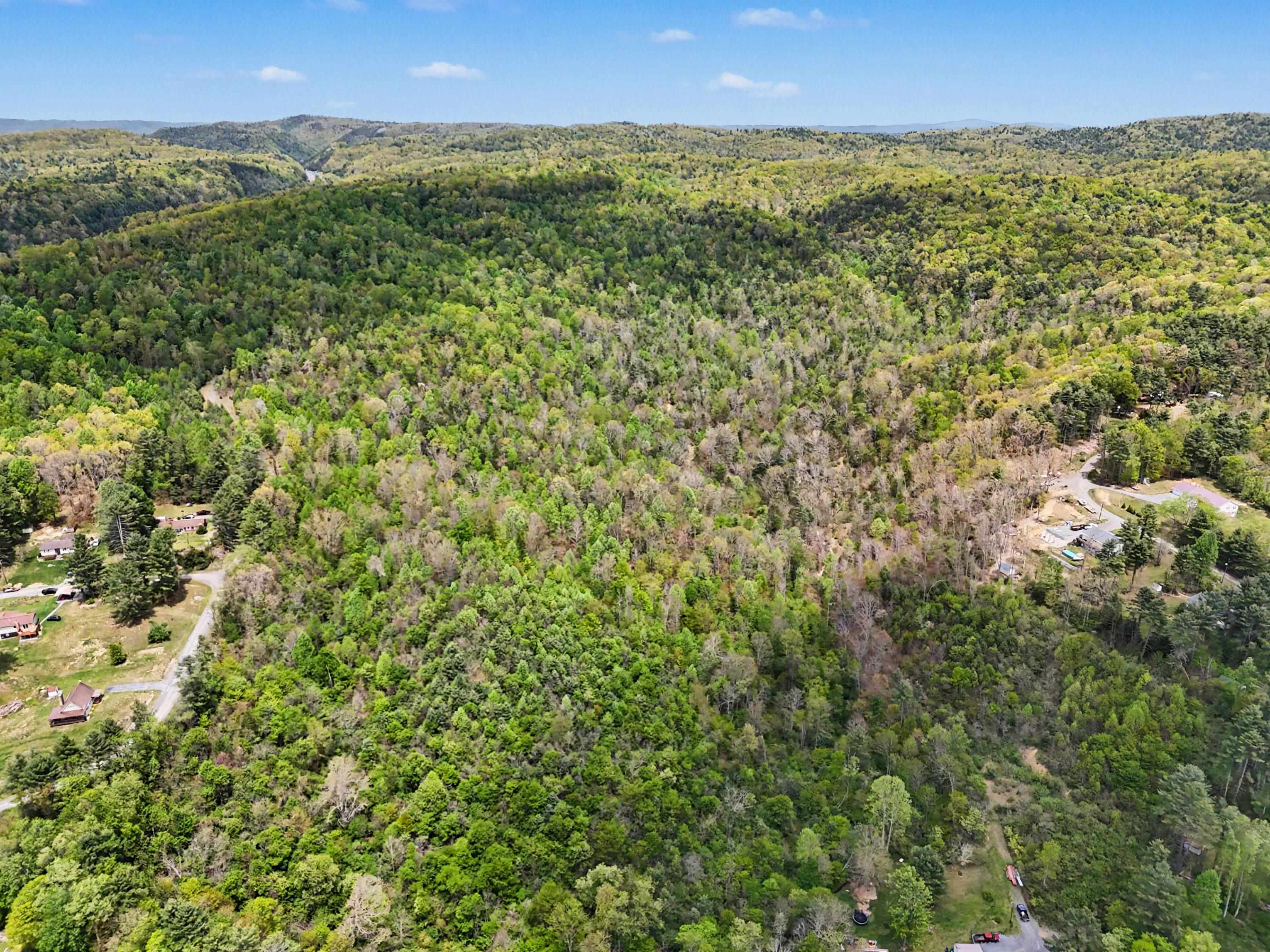 Tbd High Chaparral Lane Bland VA 24315