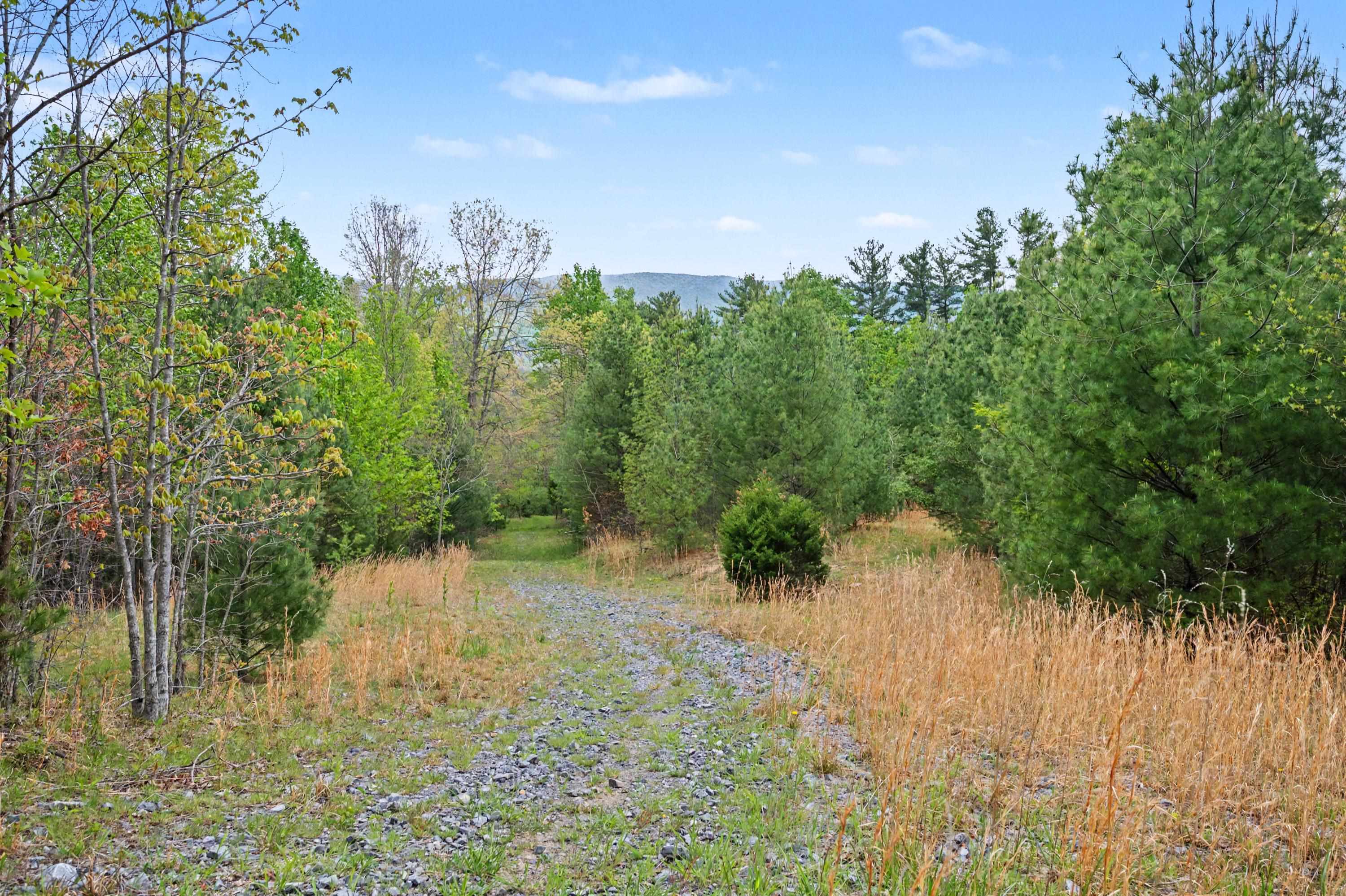 Tbd High Chaparral Lane Bland VA 24315
