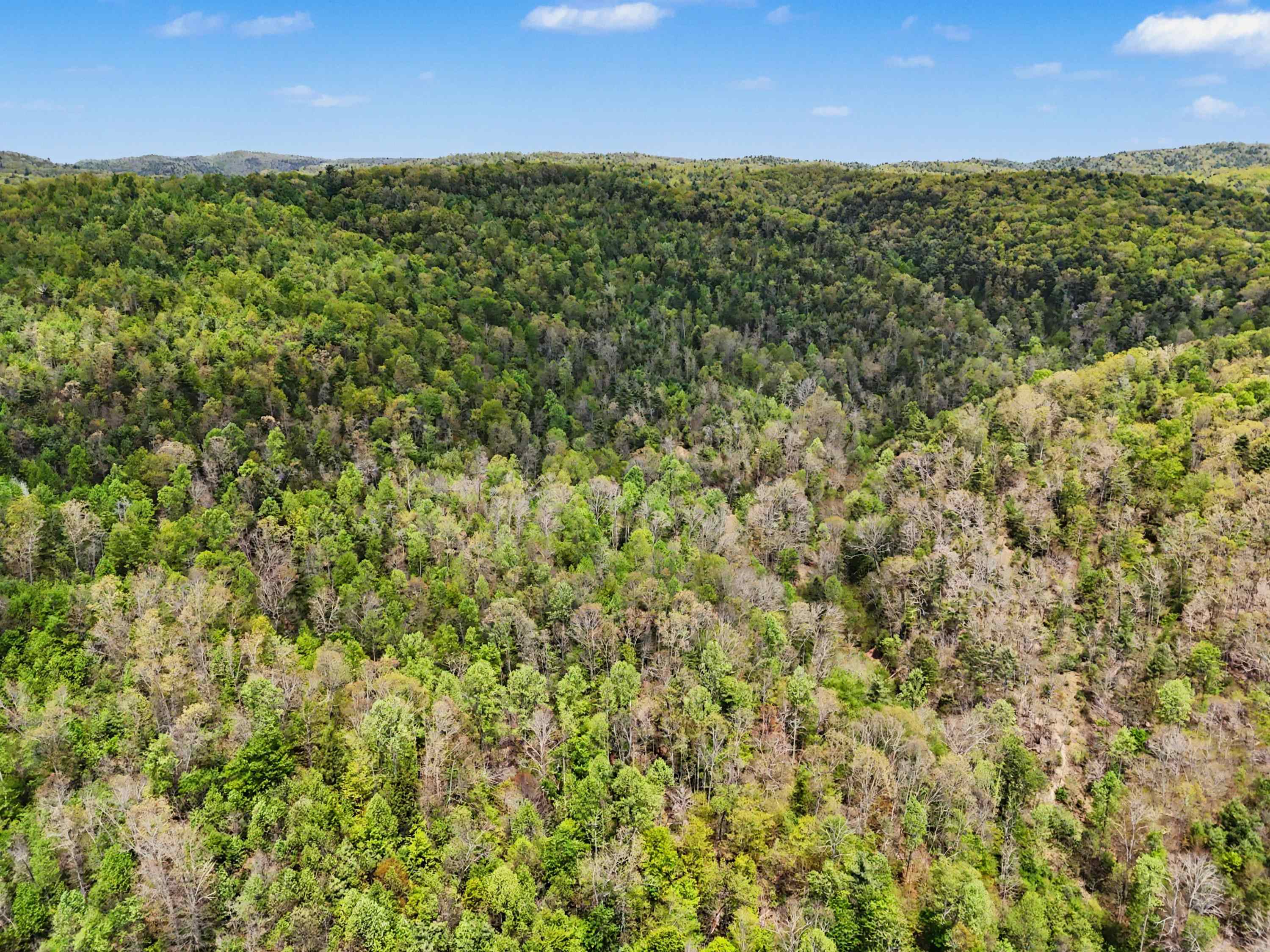 Tbd High Chaparral Lane Bland VA 24315