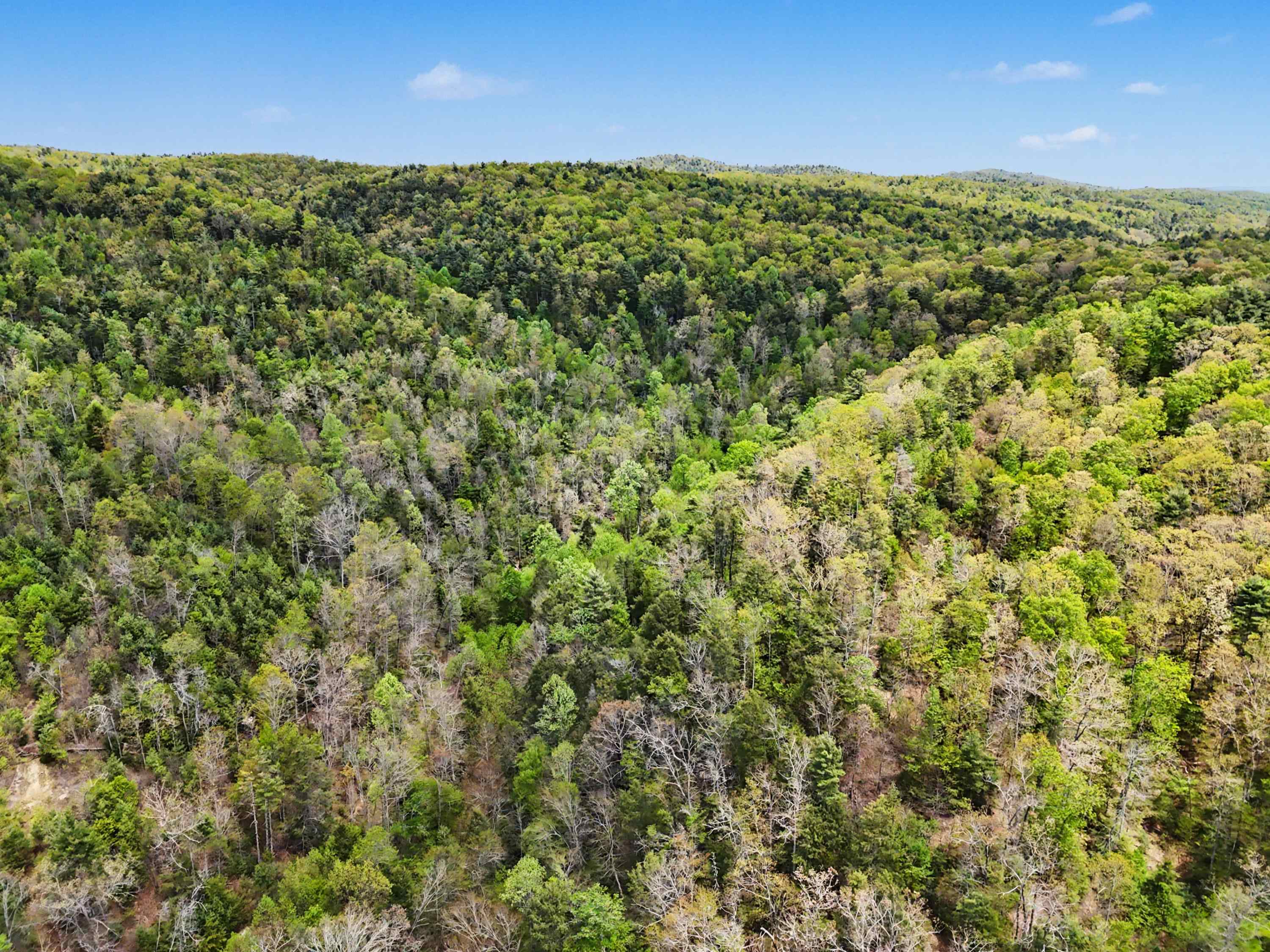 Tbd High Chaparral Lane Bland VA 24315