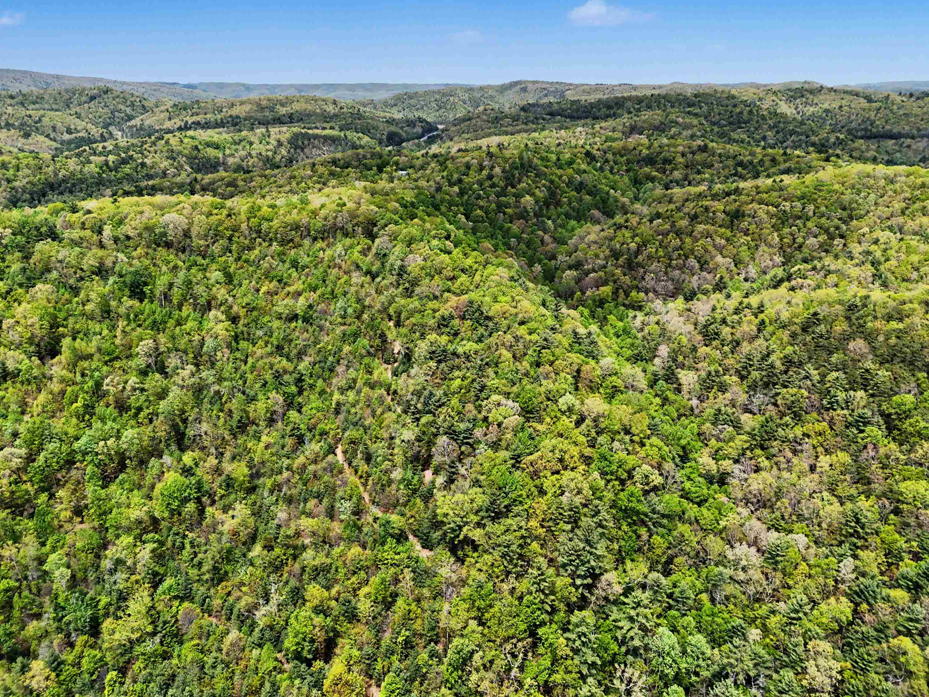 Tbd High Chaparral Lane Bland VA 24315