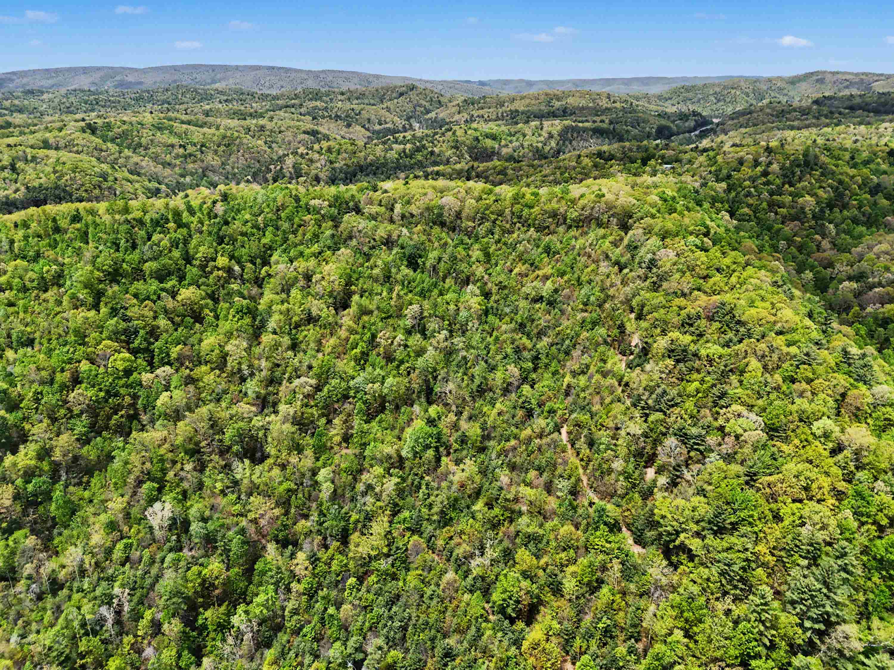 Tbd High Chaparral Lane Bland VA 24315