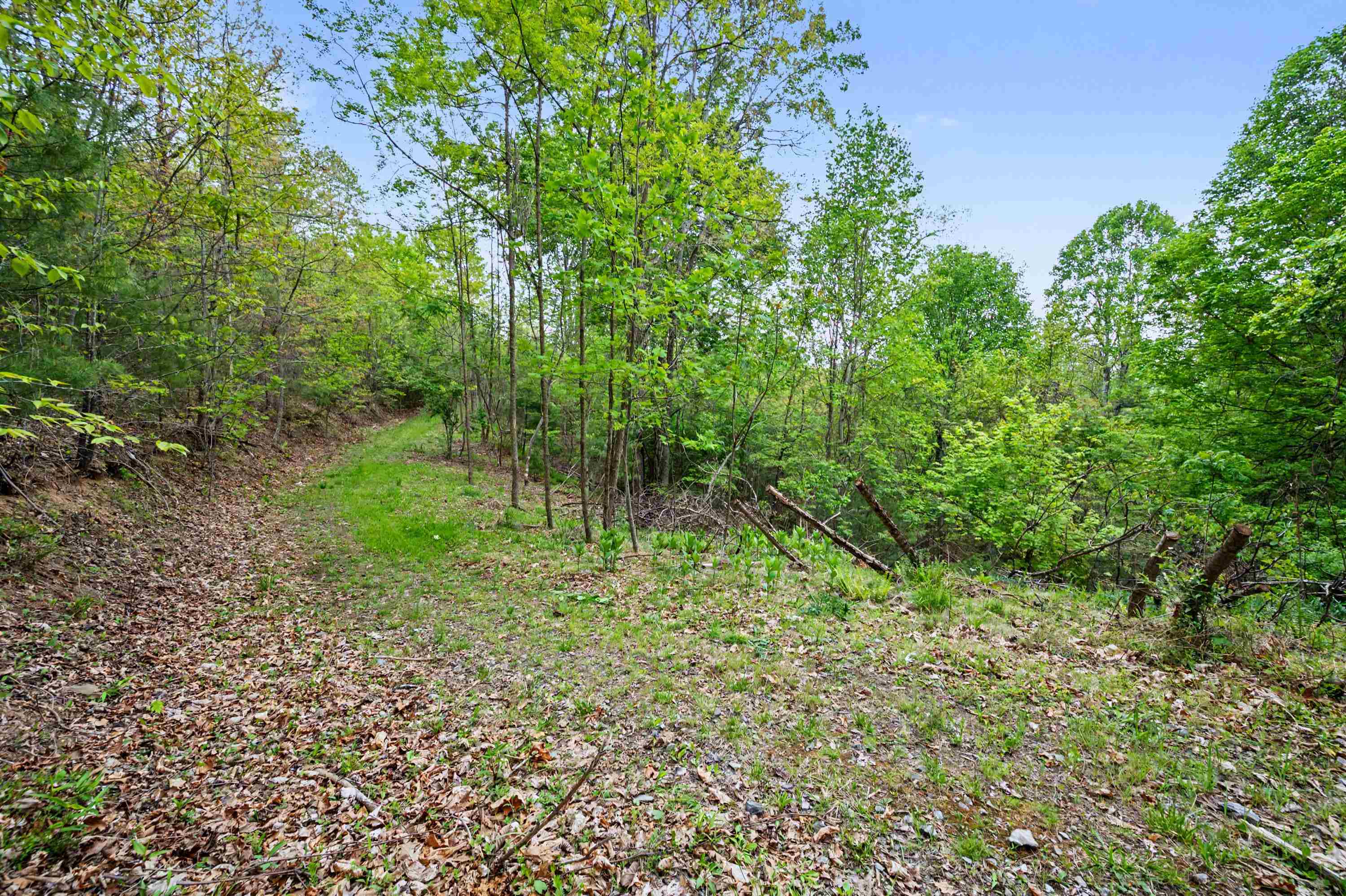Tbd High Chaparral Lane Bland VA 24315