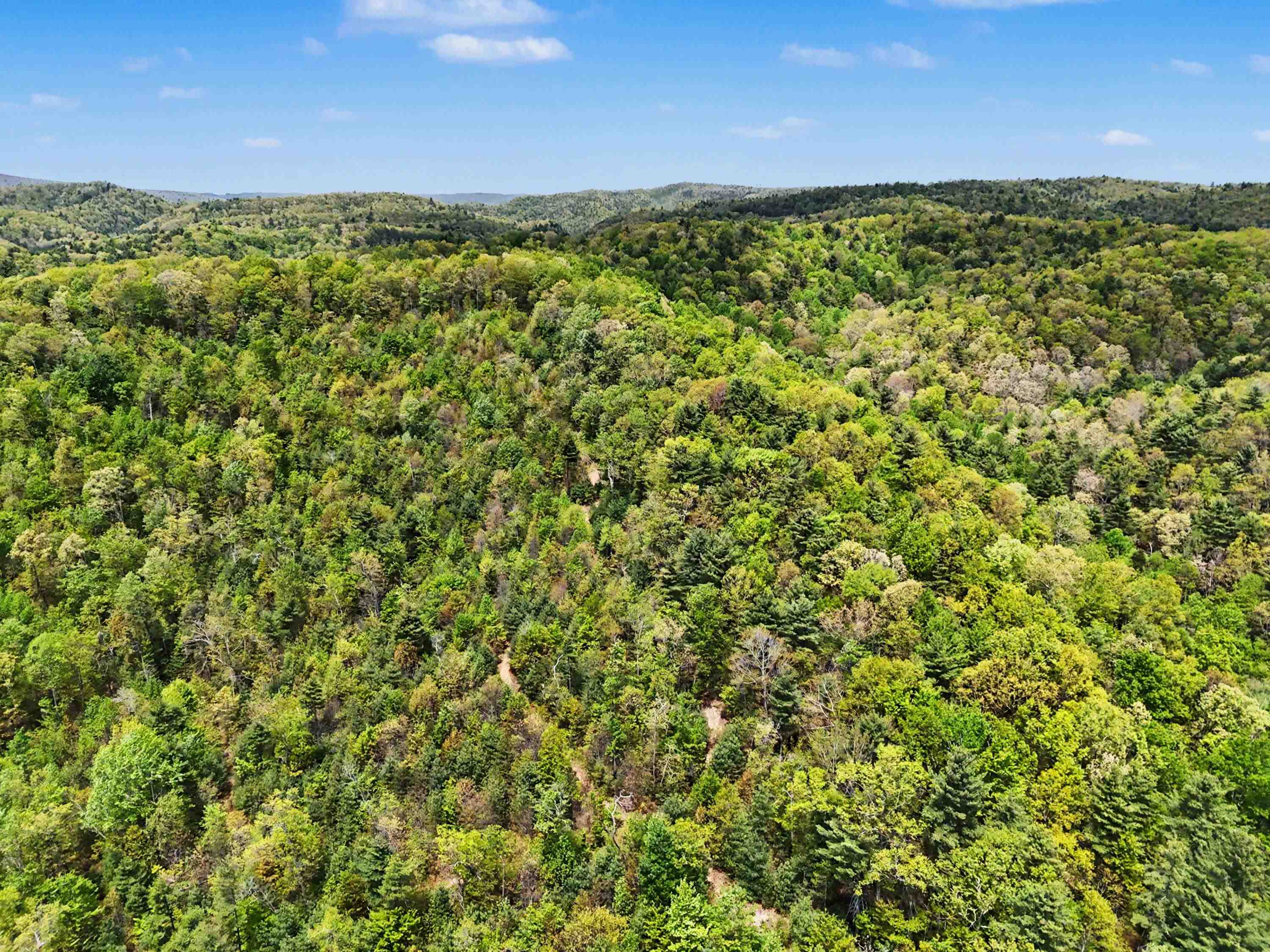 Tbd High Chaparral Lane Bland VA 24315