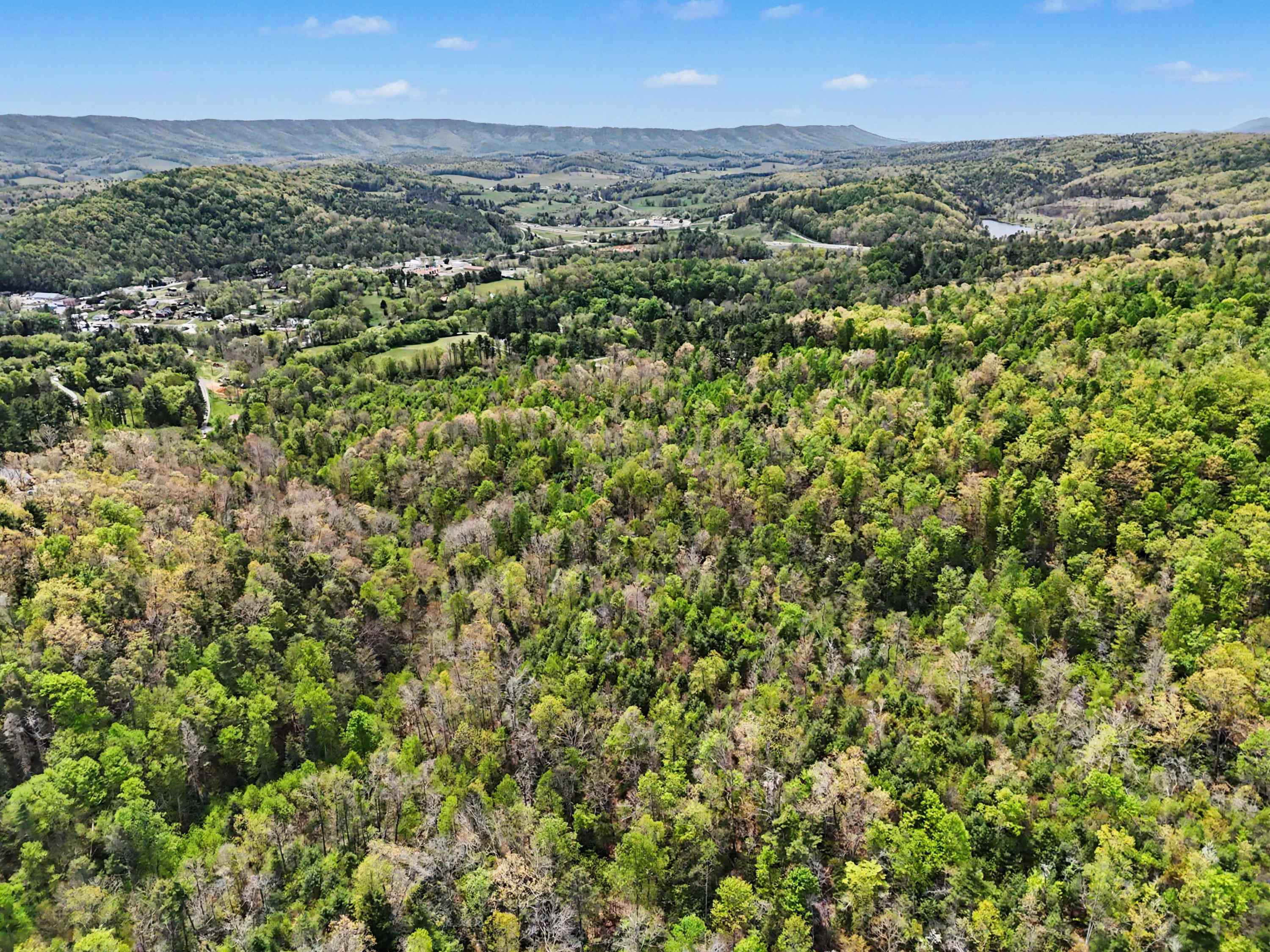 Tbd High Chaparral Lane Bland VA 24315
