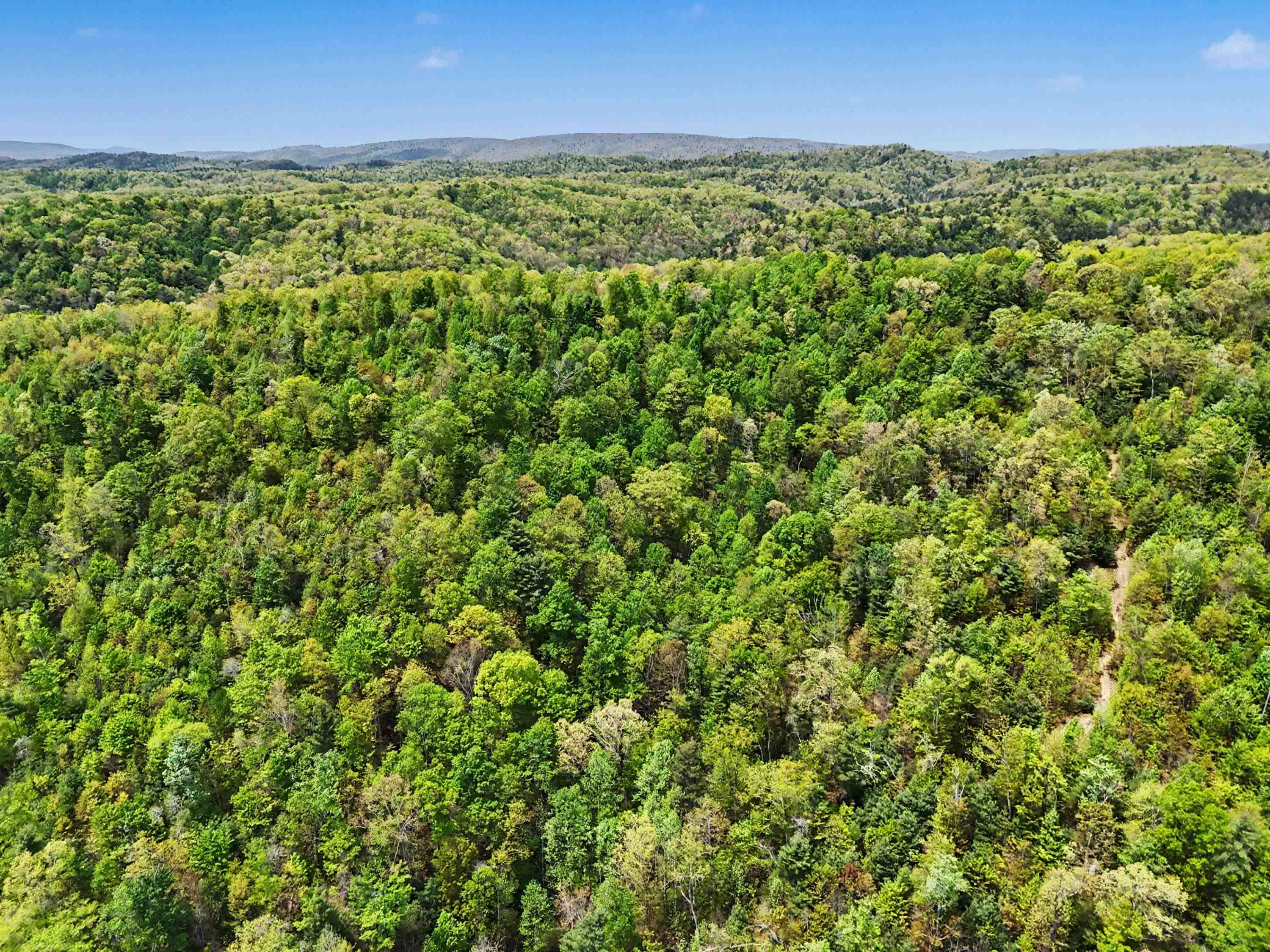 Tbd High Chaparral Lane Bland VA 24315
