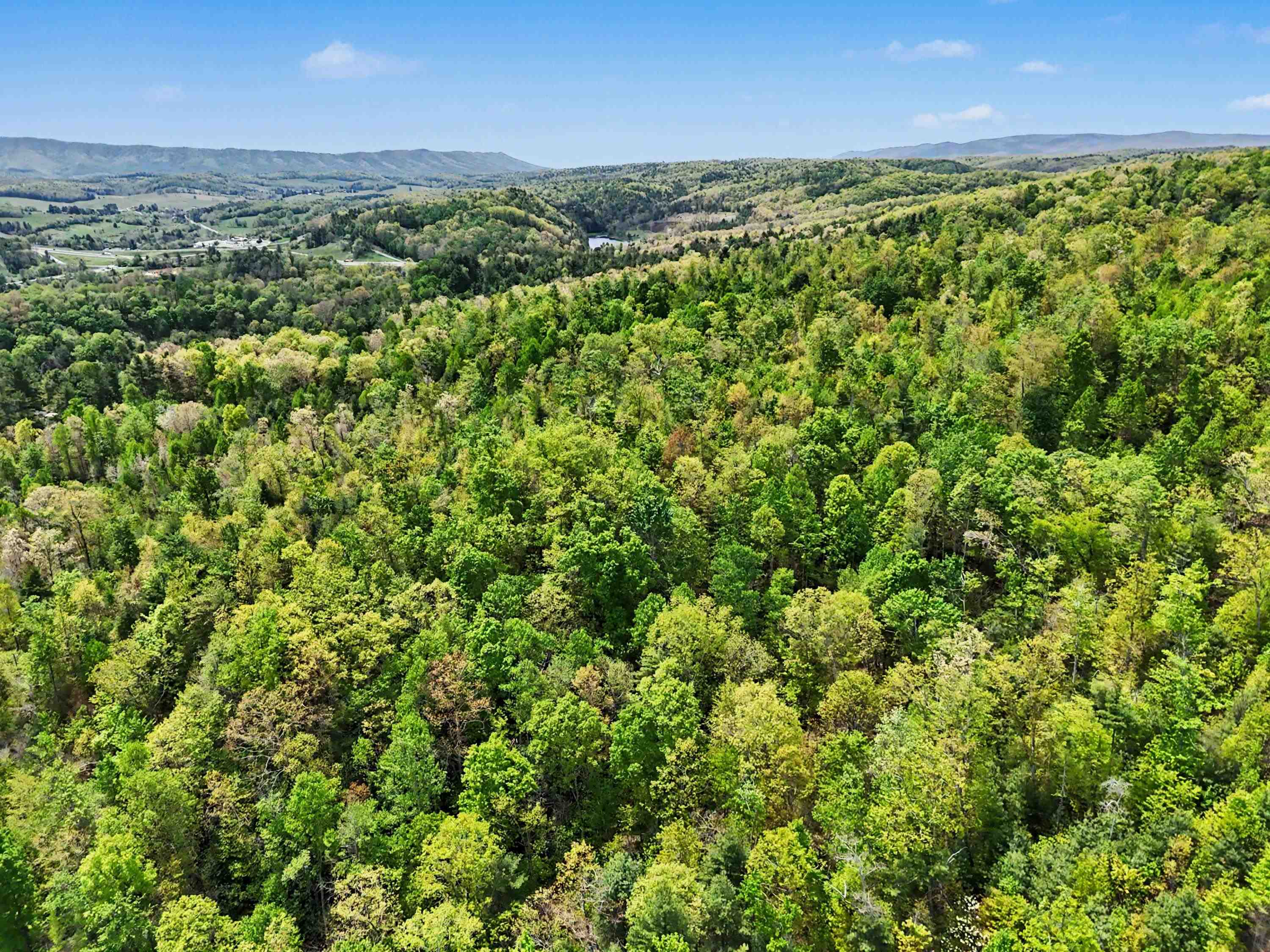 Tbd High Chaparral Lane Bland VA 24315