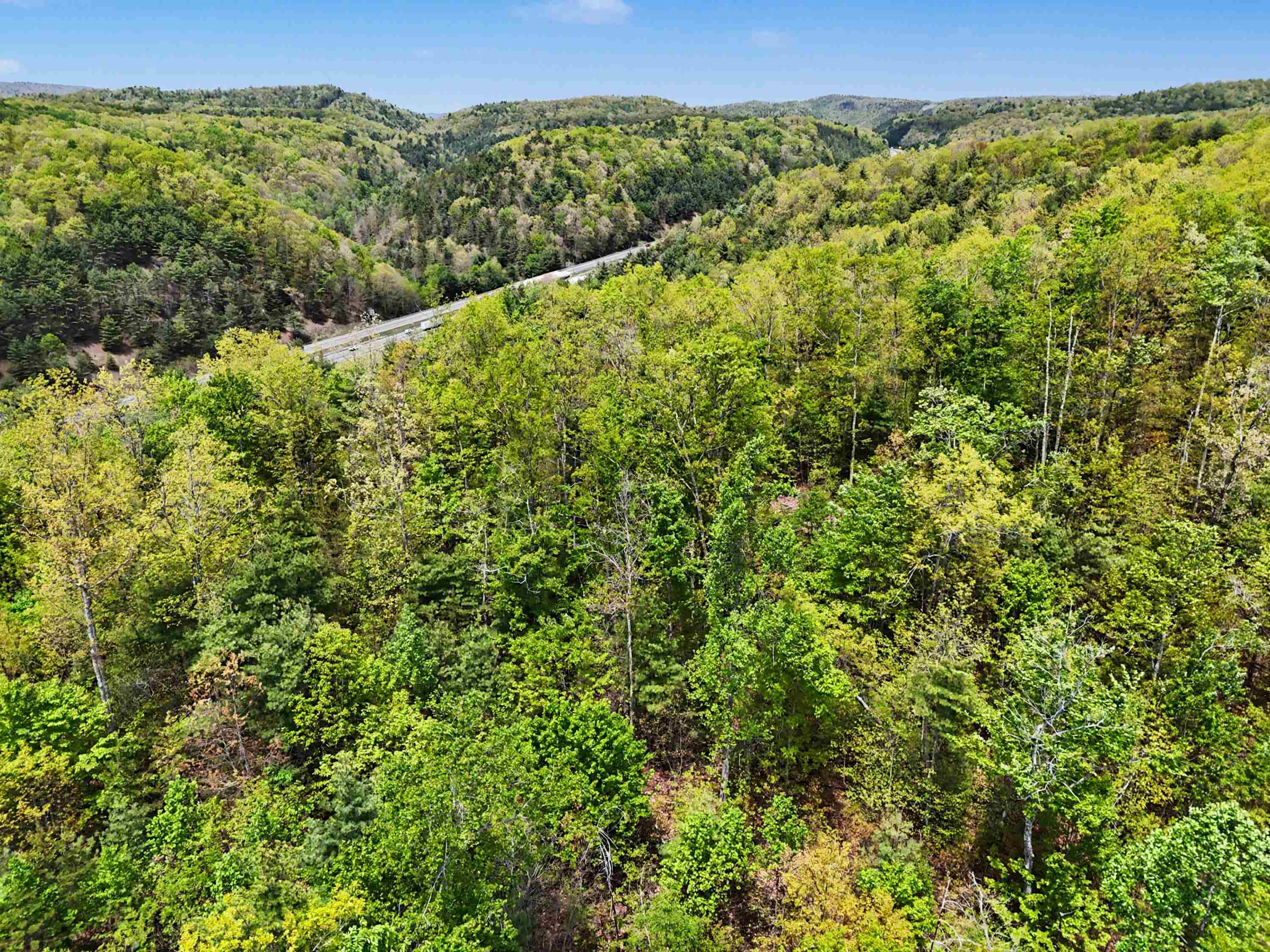 Tbd High Chaparral Lane Bland VA 24315