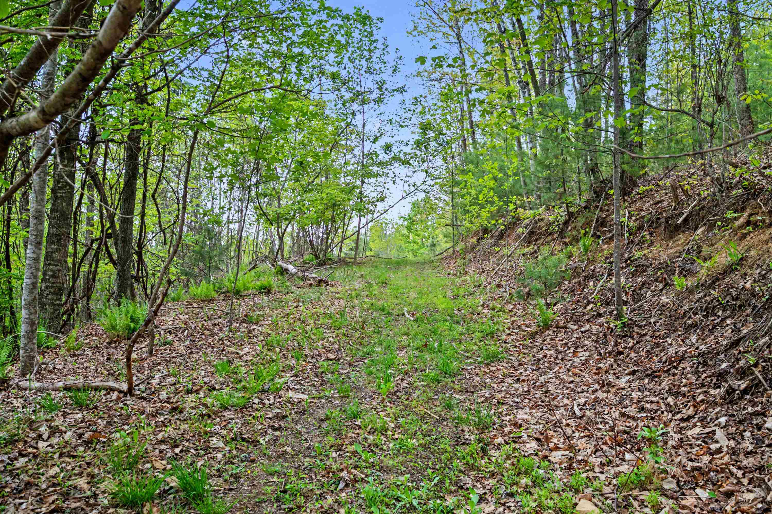 Tbd High Chaparral Lane Bland VA 24315