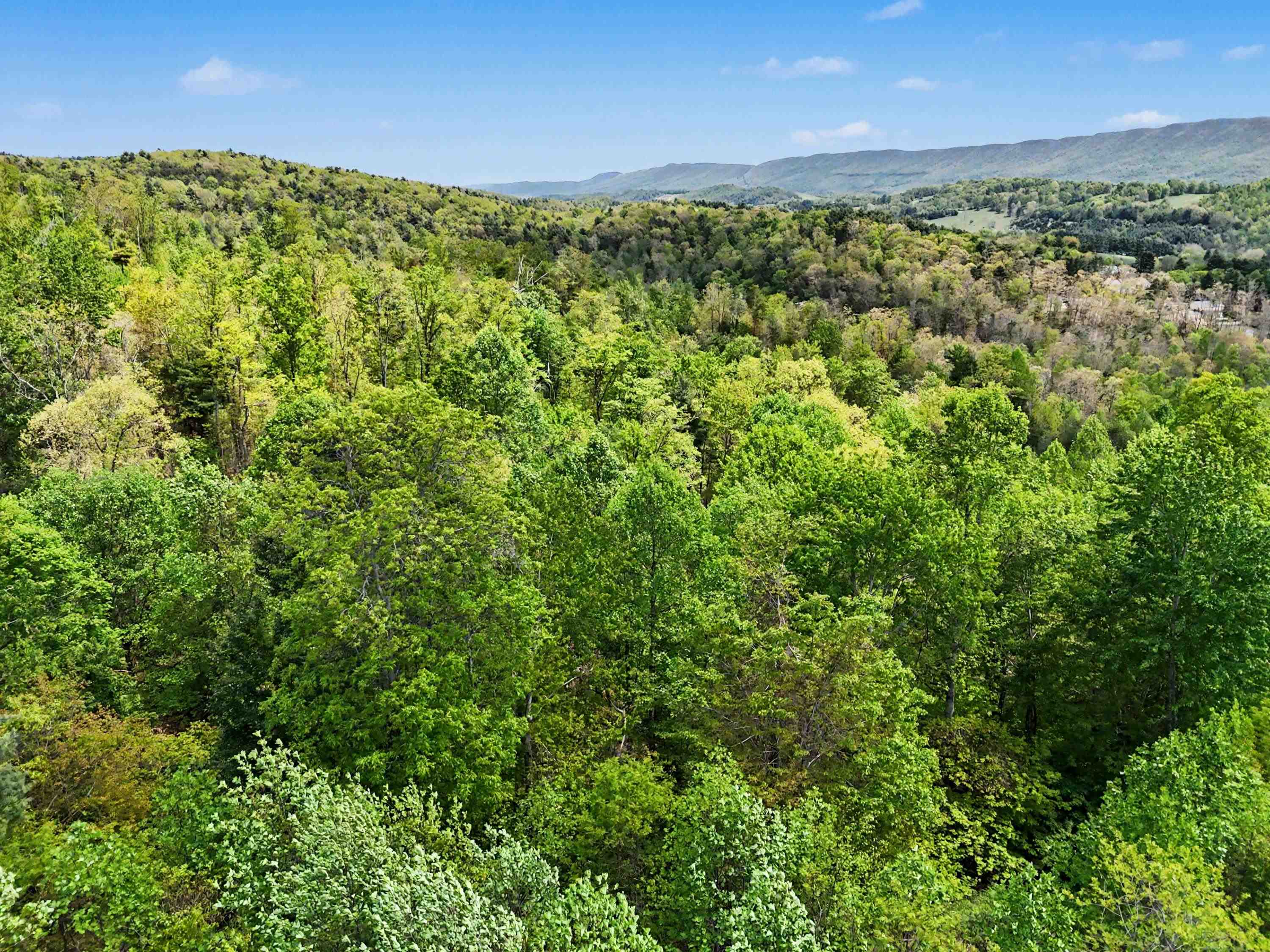 Tbd High Chaparral Lane Bland VA 24315