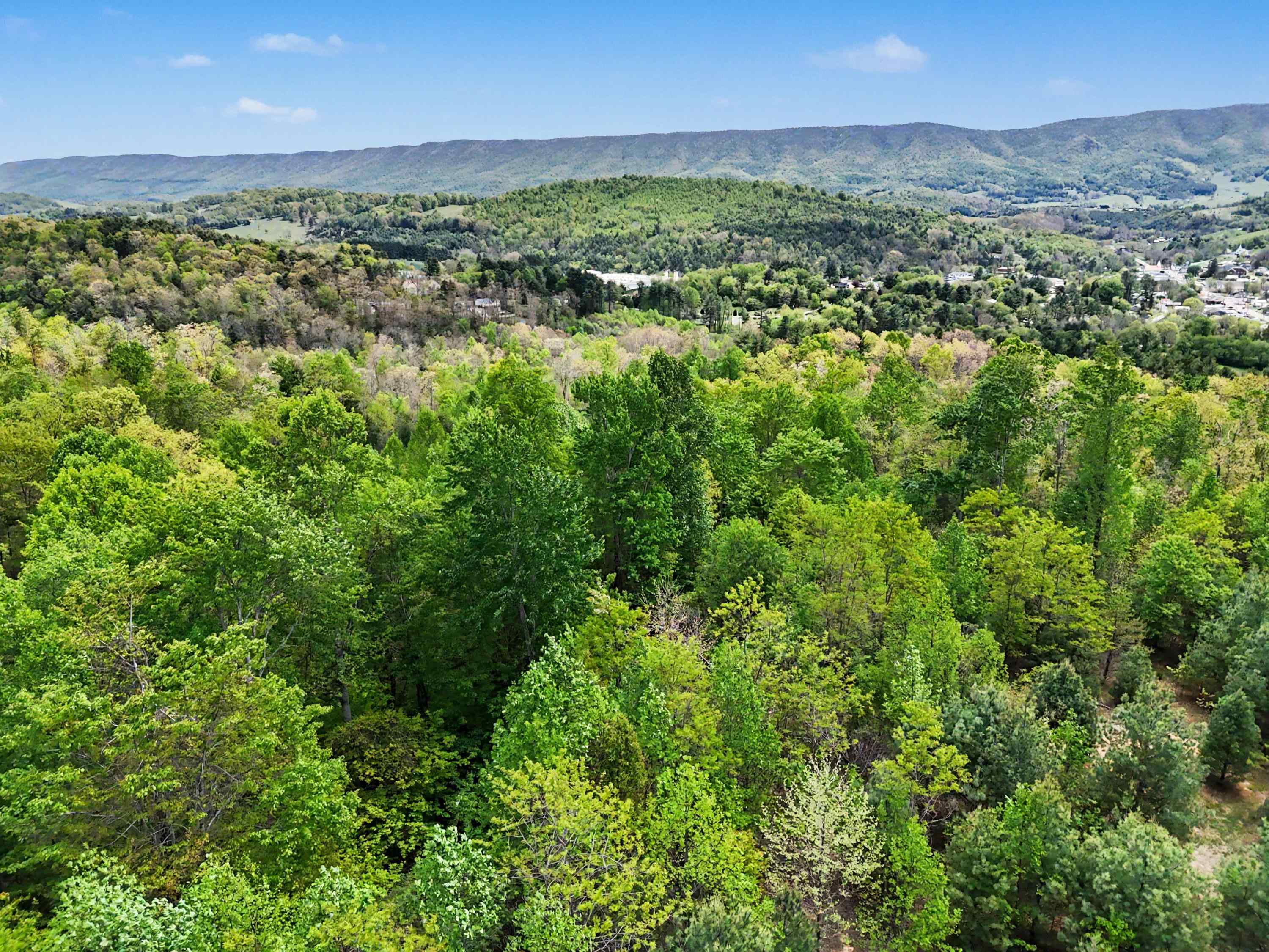 Tbd High Chaparral Lane Bland VA 24315