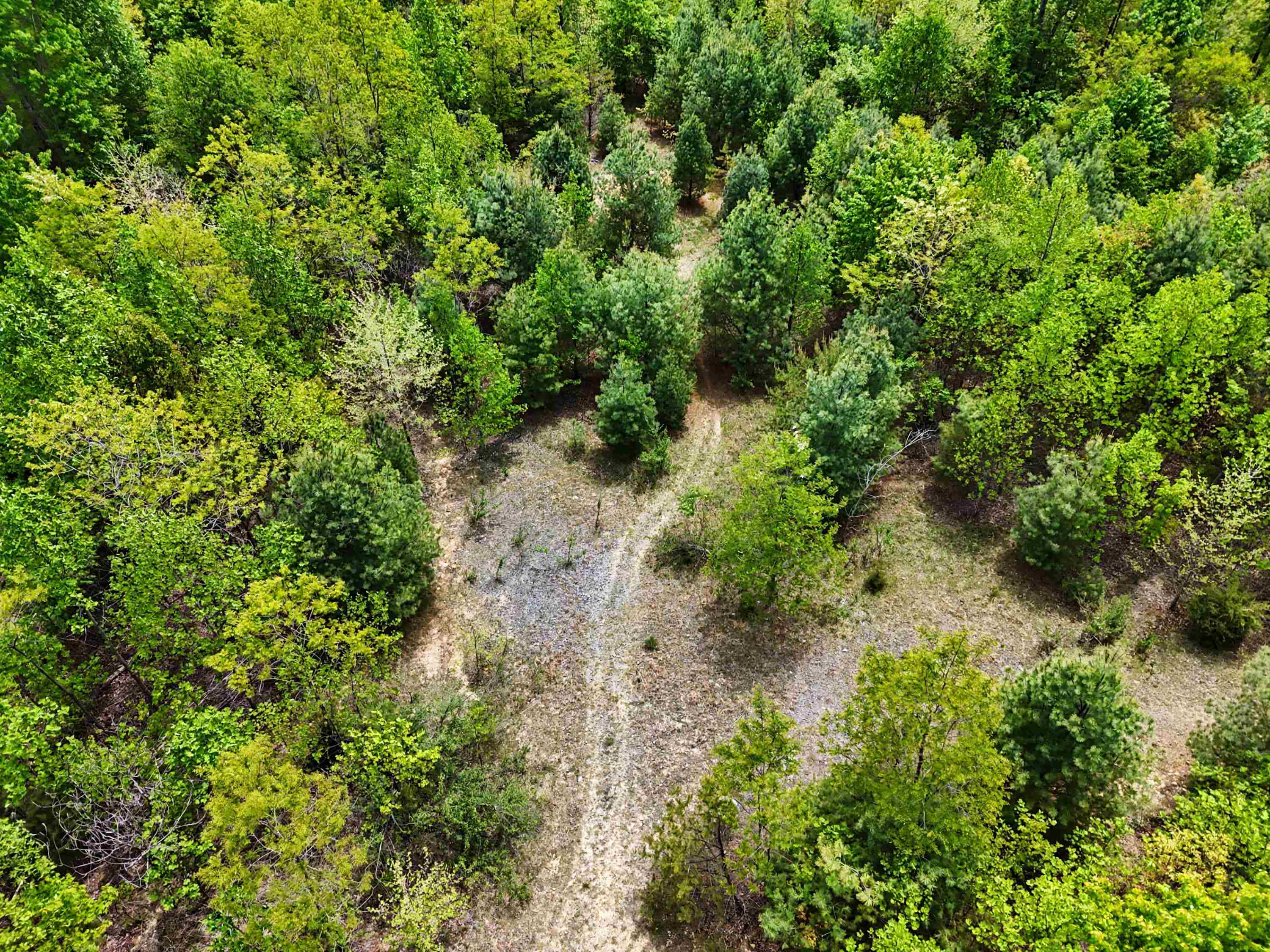 Tbd High Chaparral Lane Bland VA 24315