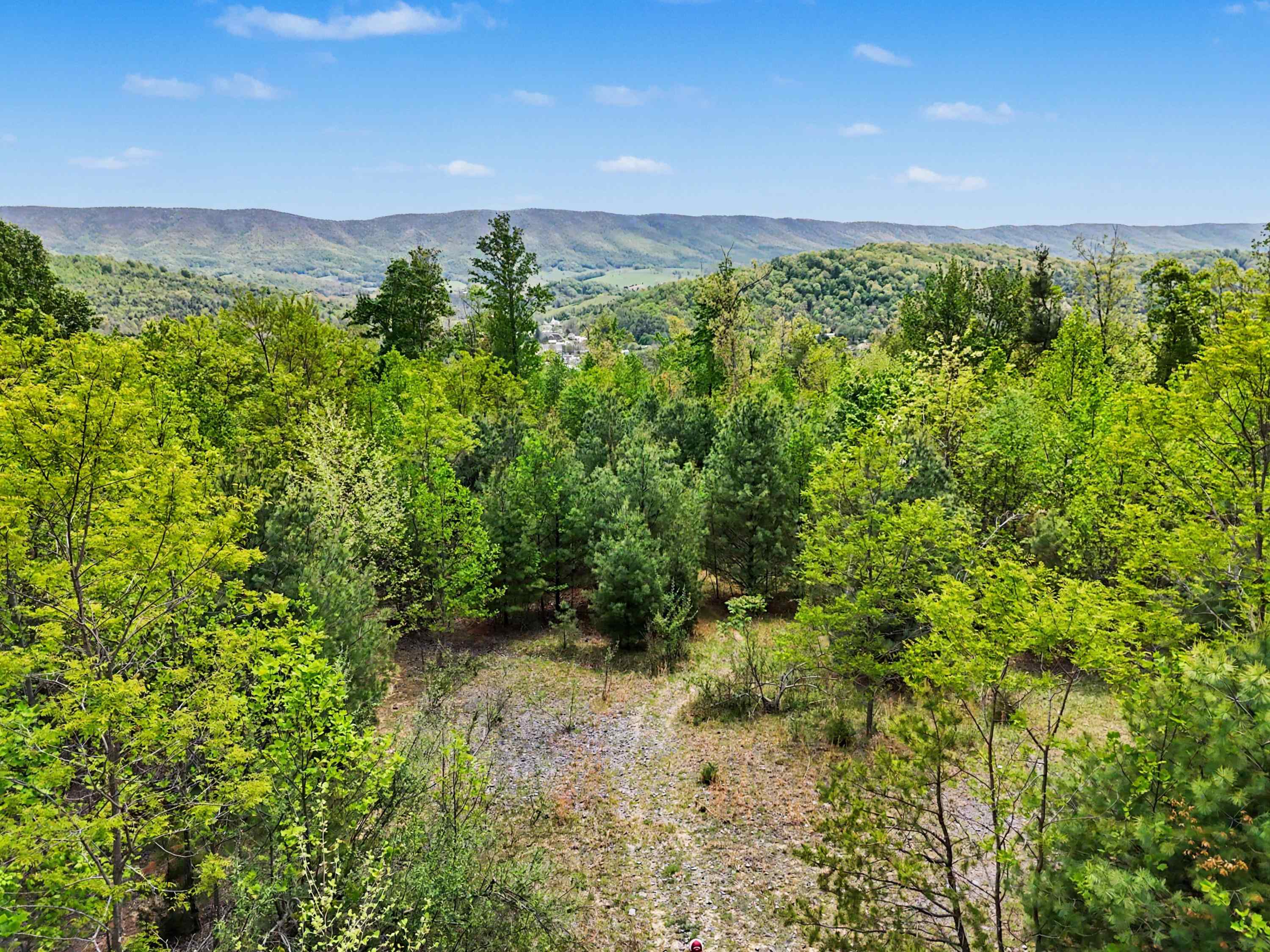 Tbd High Chaparral Lane Bland VA 24315