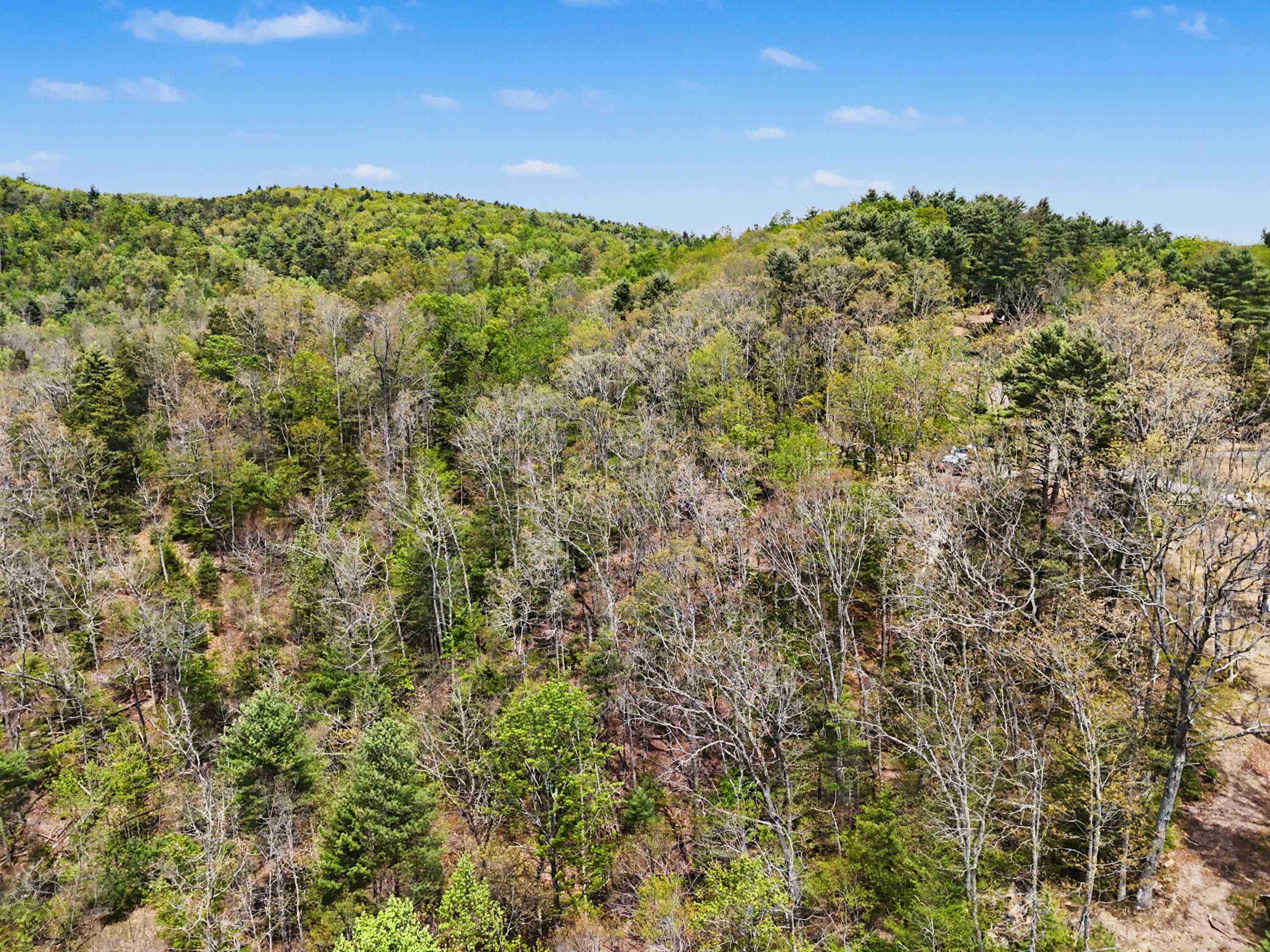 Tbd High Chaparral Lane Bland VA 24315