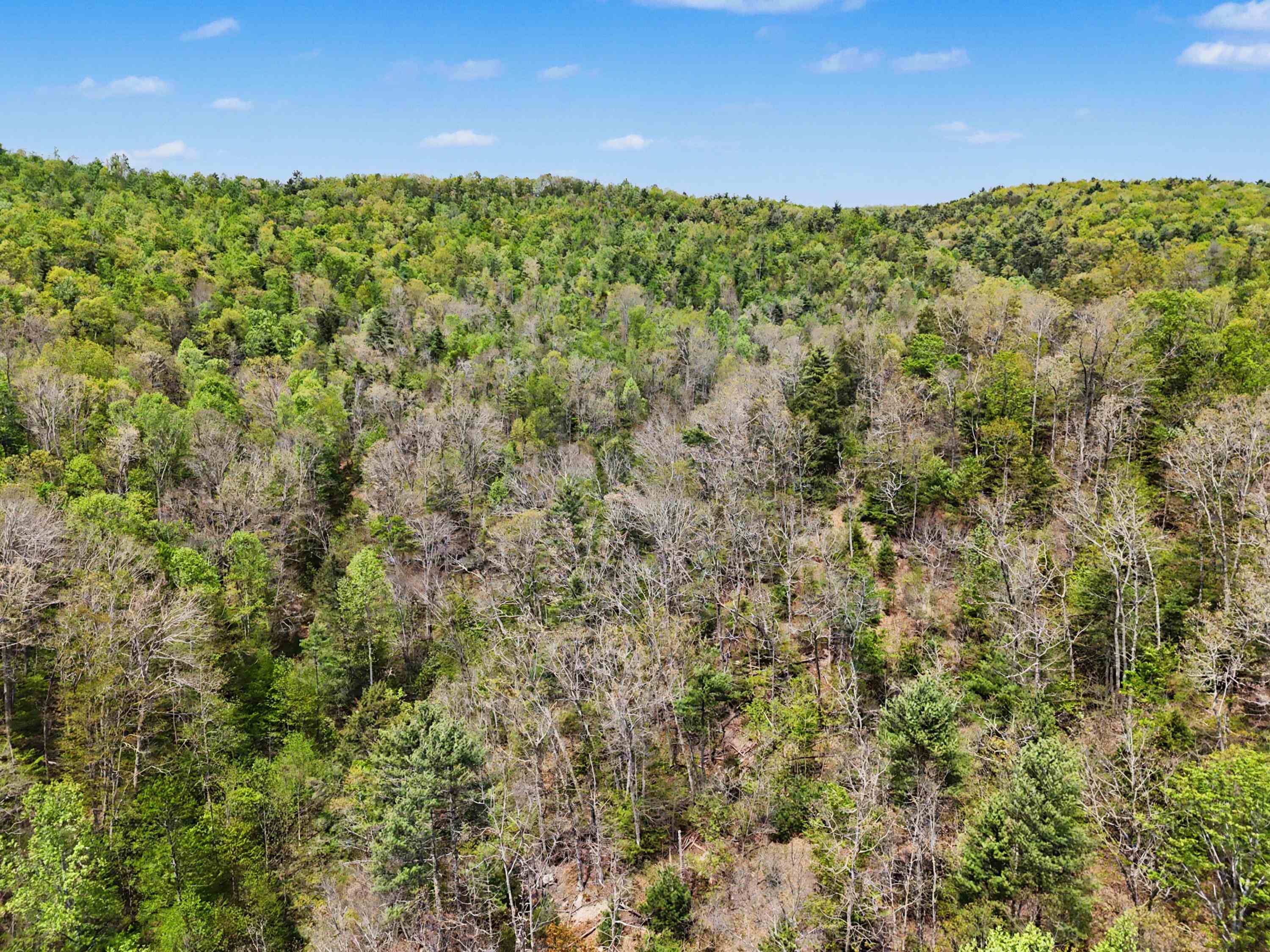 Tbd High Chaparral Lane Bland VA 24315