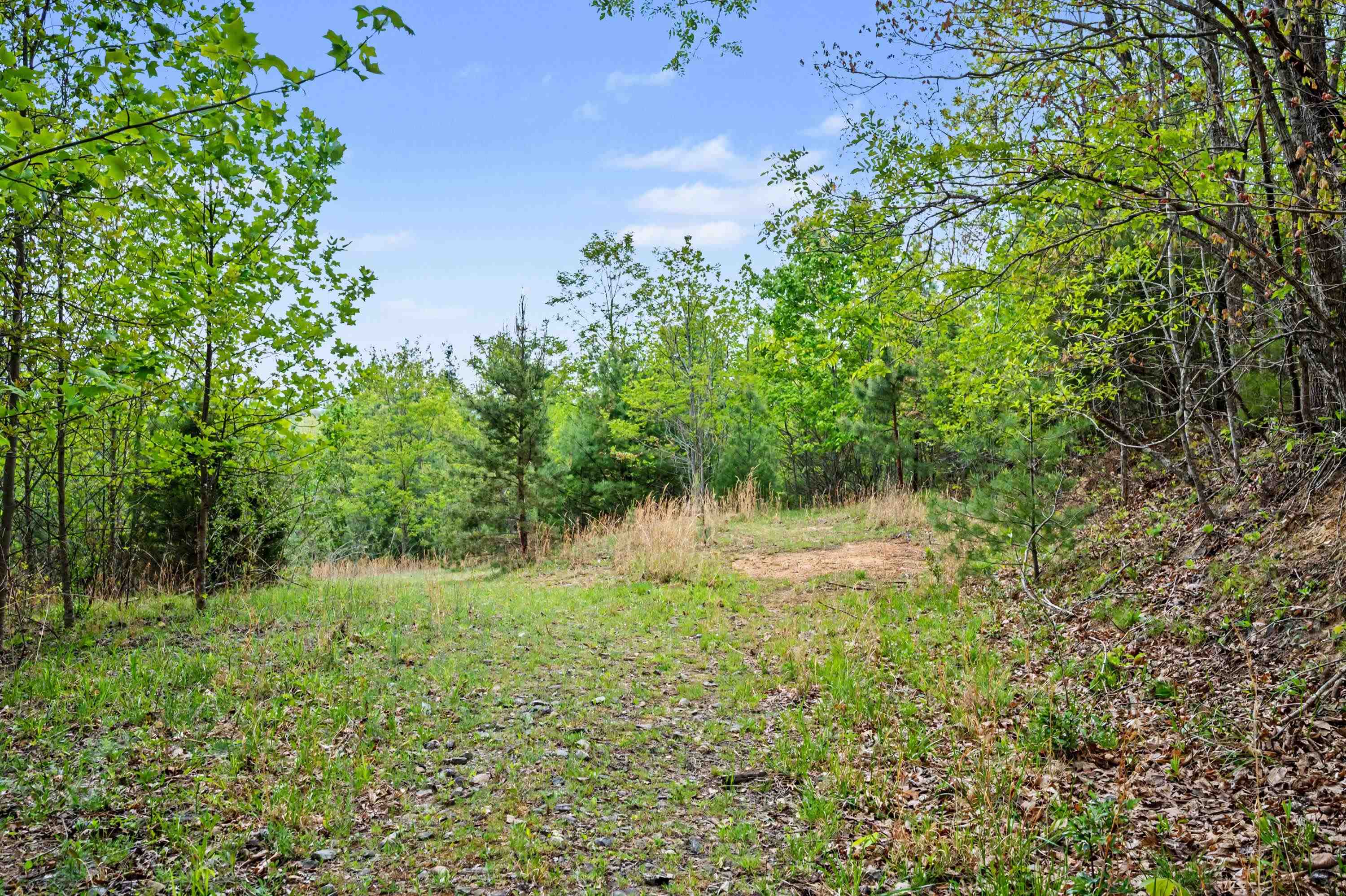 Tbd High Chaparral Lane Bland VA 24315