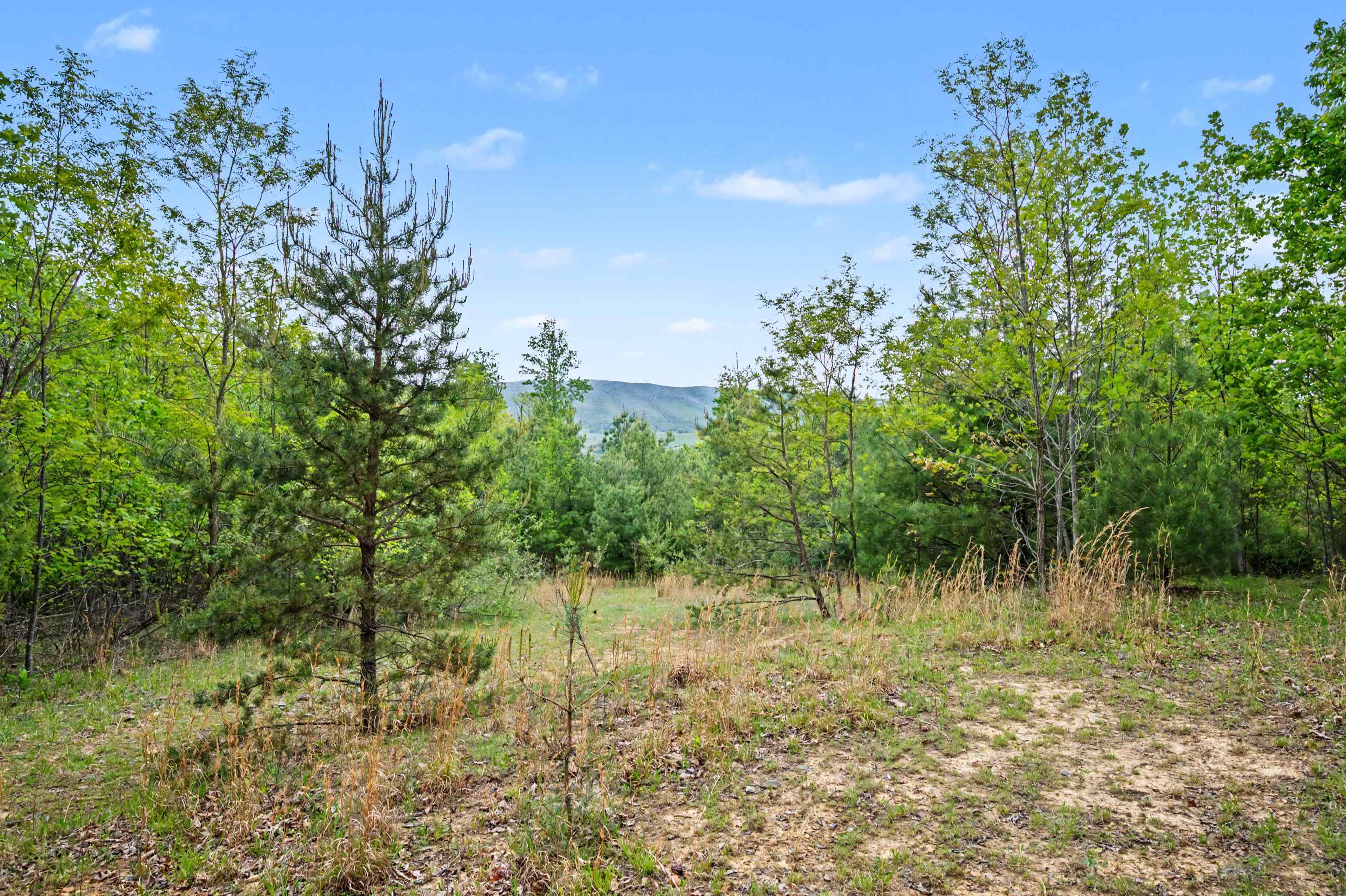 Tbd High Chaparral Lane Bland VA 24315