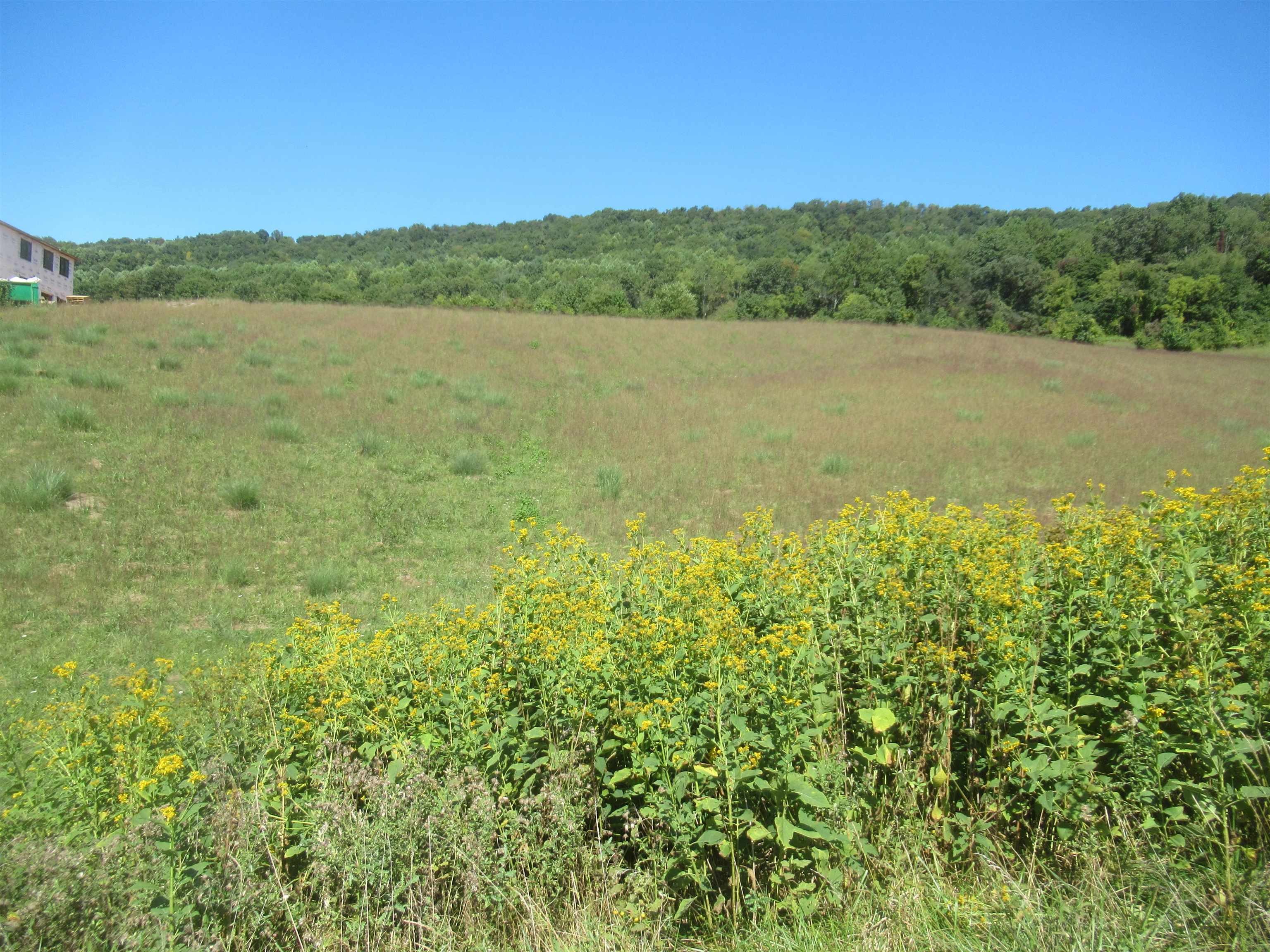 Tbd Big Valley Drive Draper VA 24324