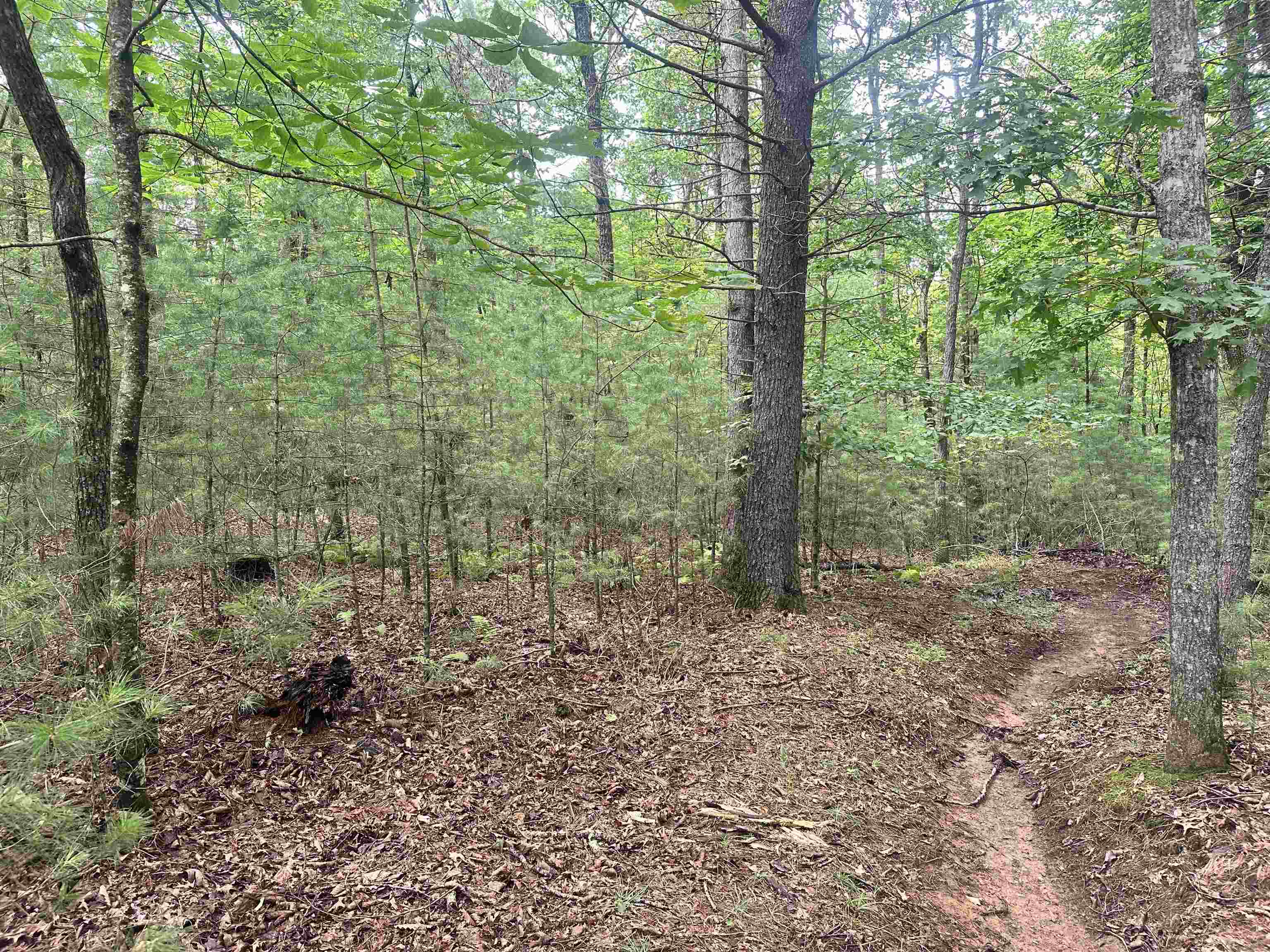 Tbd Pipers Woods Drive Galax VA 24333