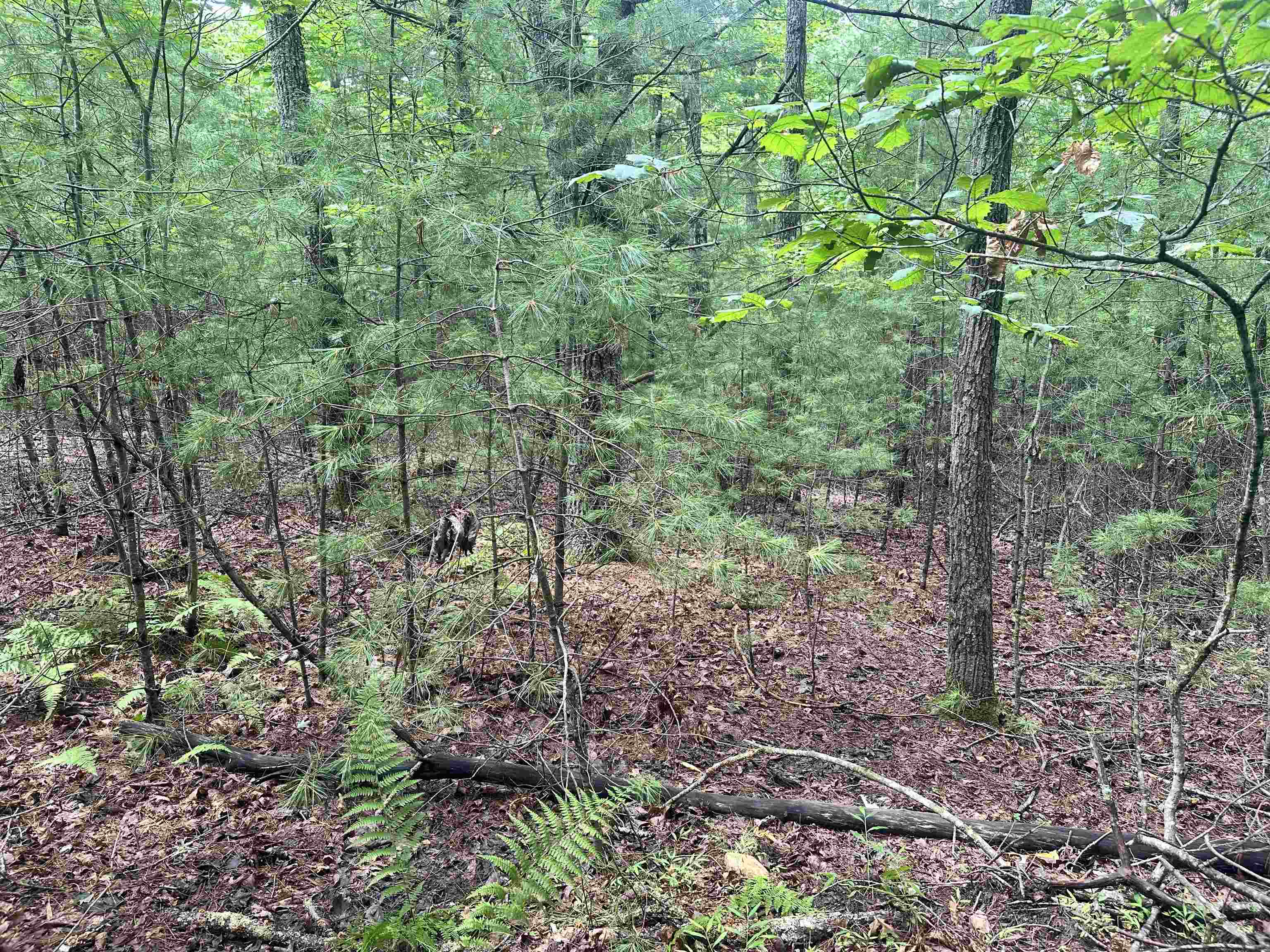 Tbd Pipers Woods Drive Galax VA 24333