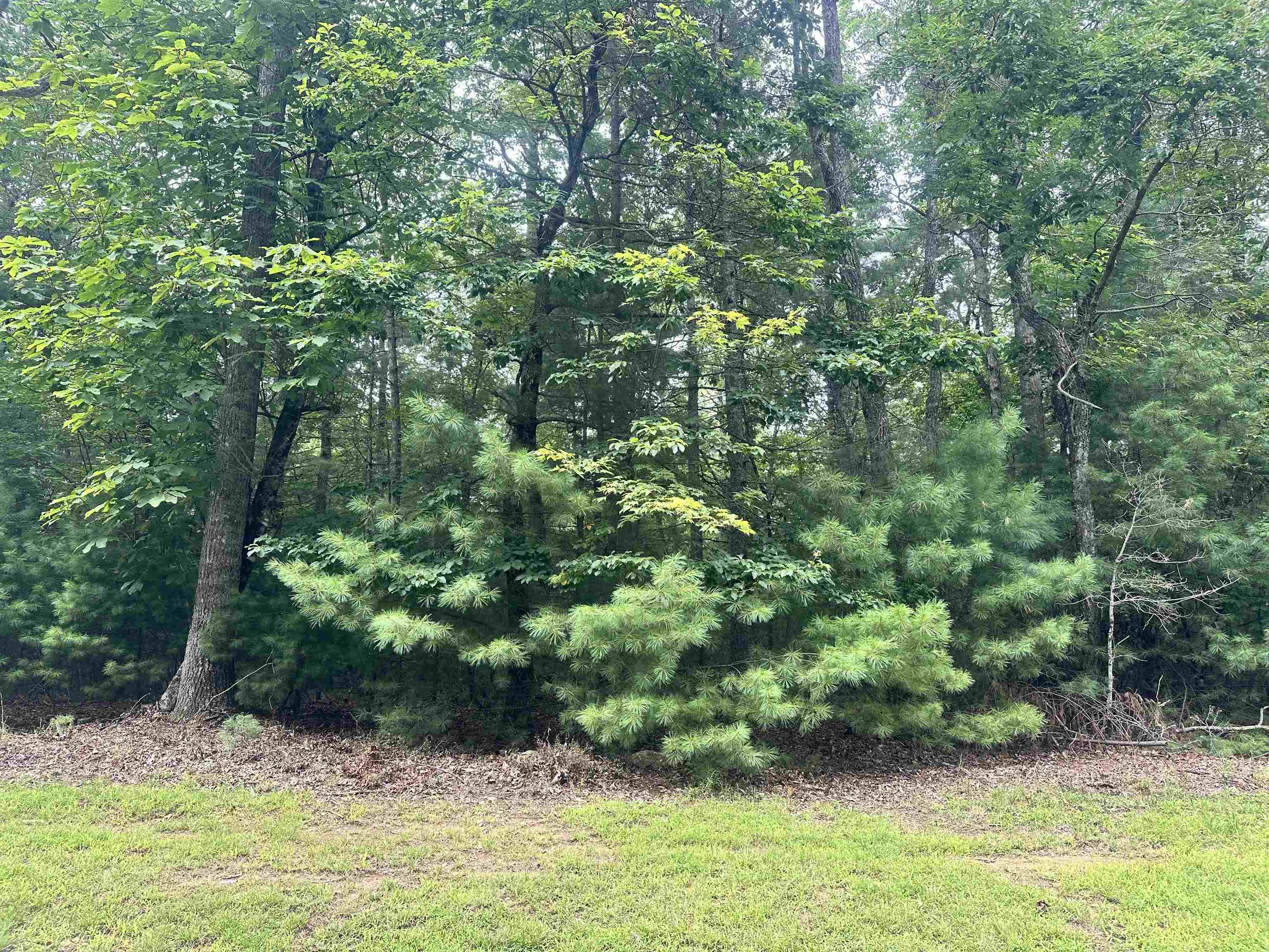 Tbd Pipers Woods Drive Galax VA 24333