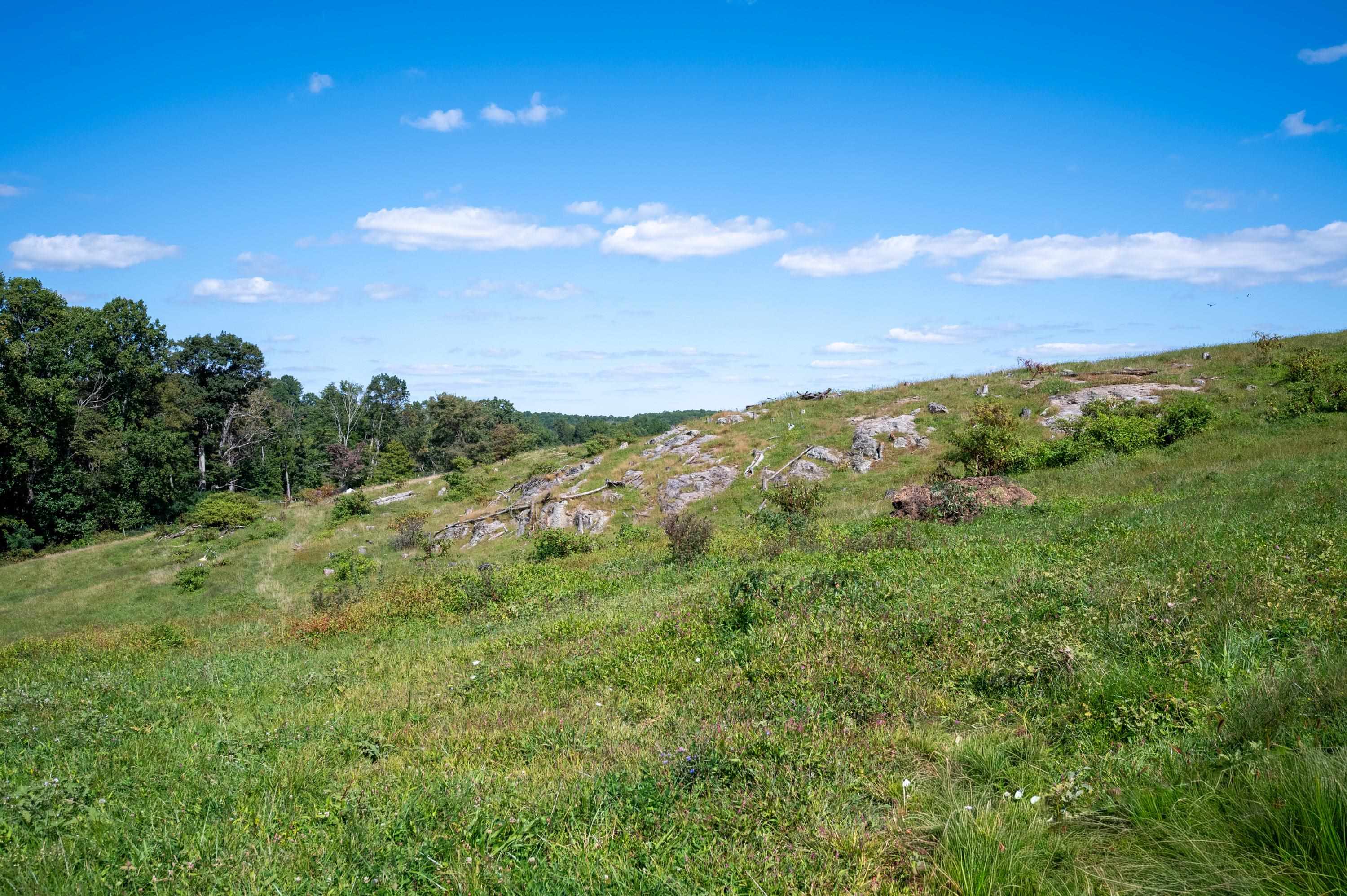 49 Pinnacle Lane Meadows Of Dan VA 24120