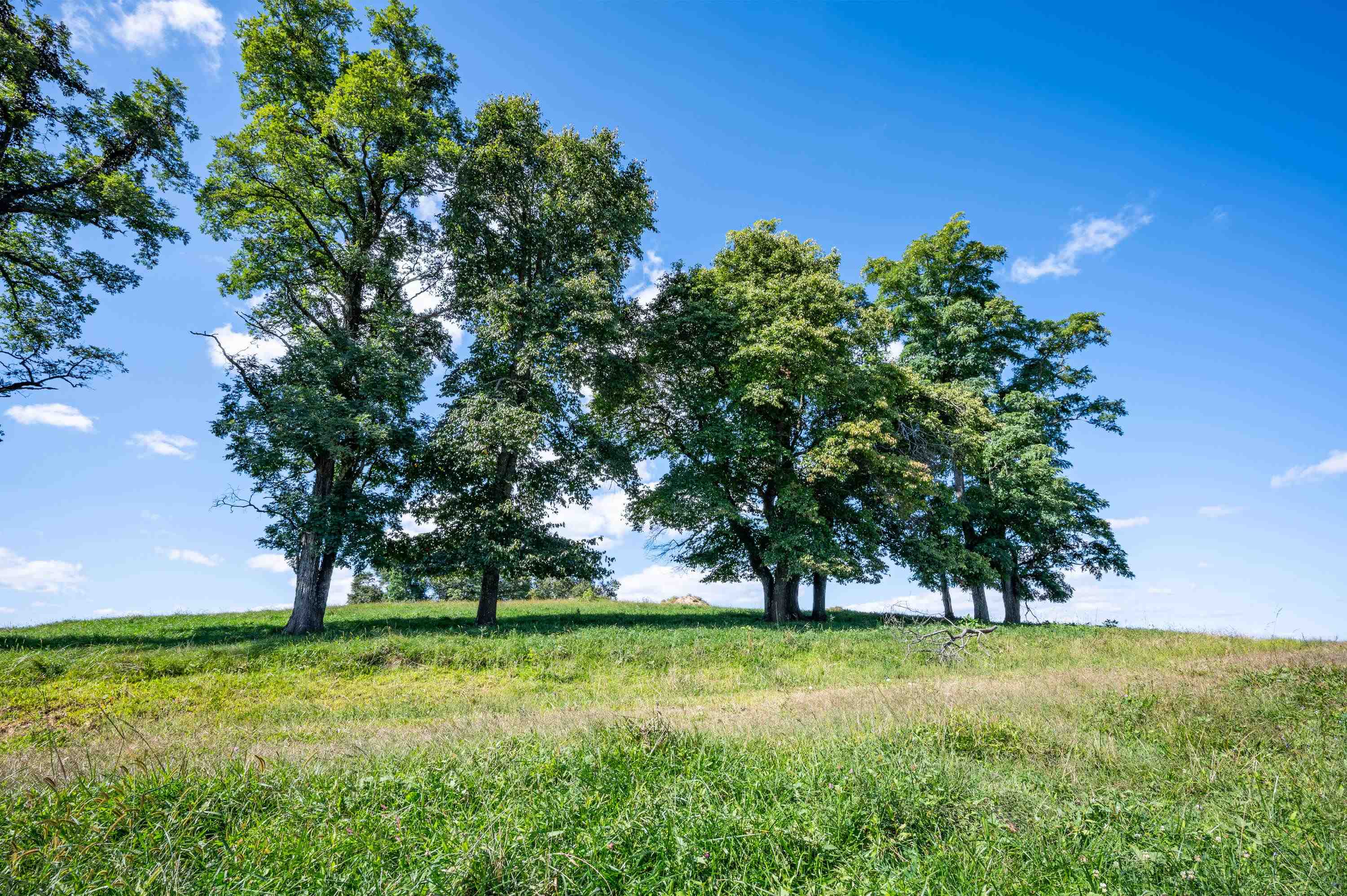 49 Pinnacle Lane Meadows Of Dan VA 24120