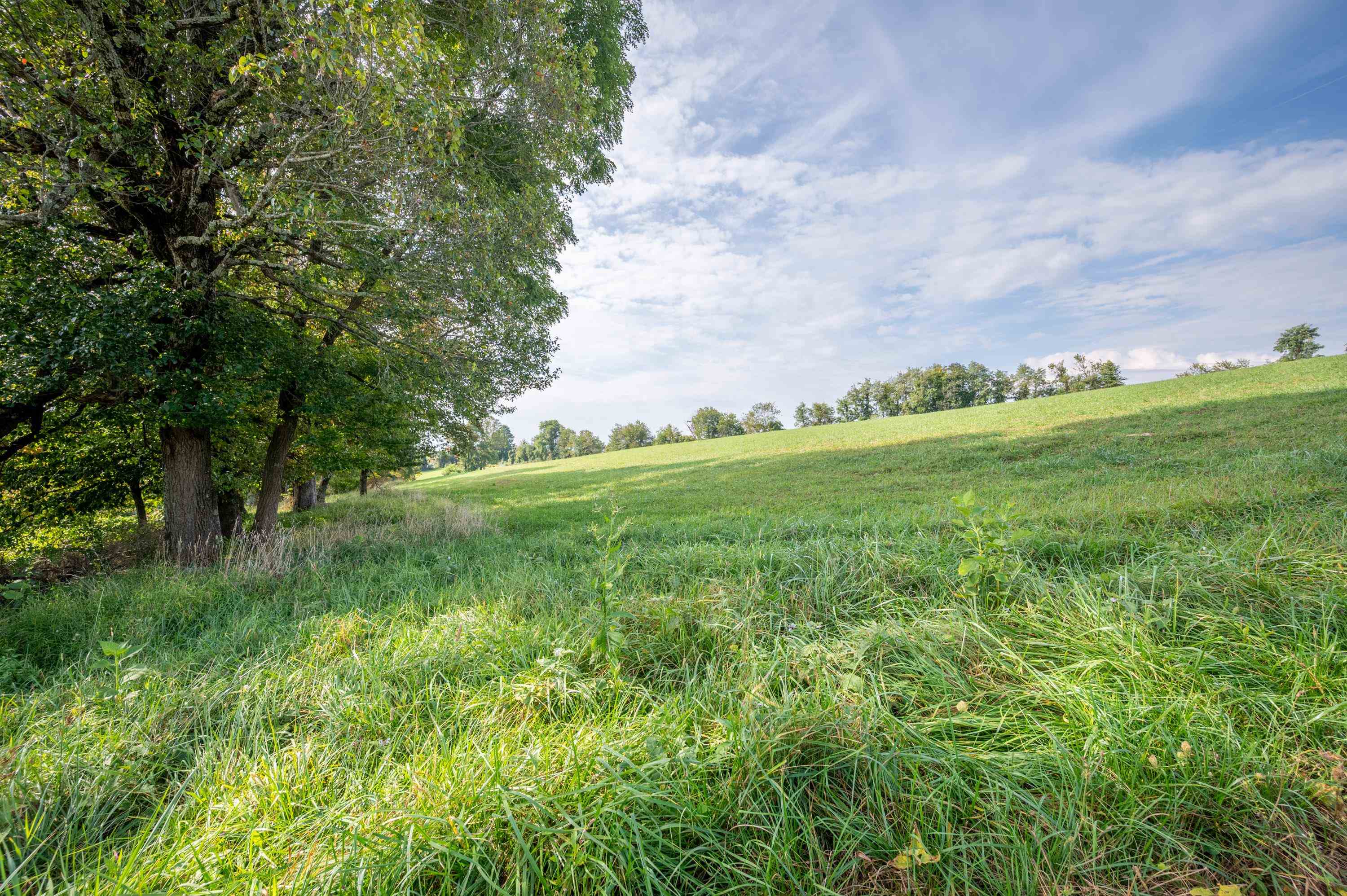 49 Pinnacle Lane Meadows Of Dan VA 24120